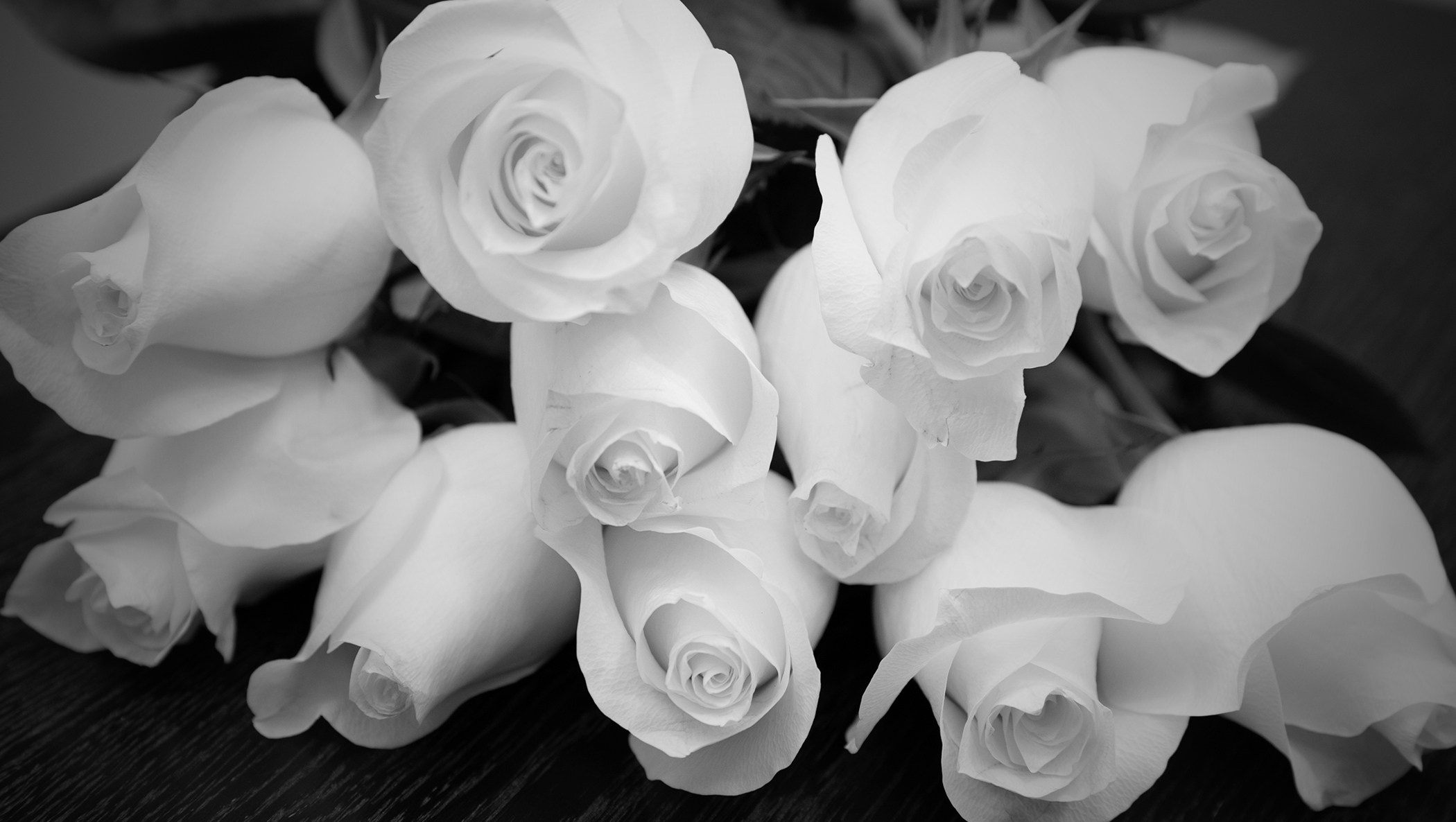 Студия Максима Белослюдцева