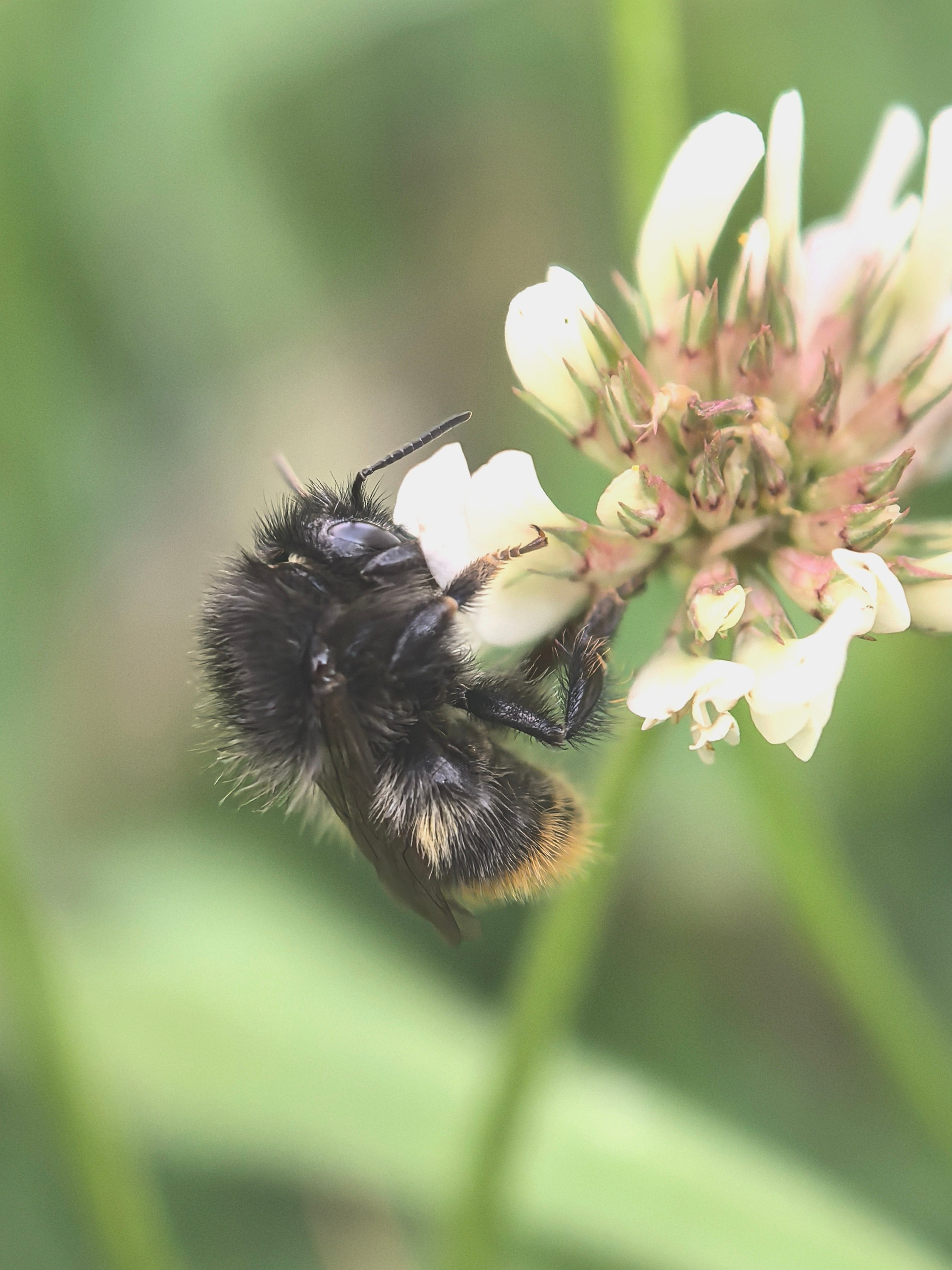 ПочтиМАКРО. Школьные выпускные альбомы в Москве Марина Николаева