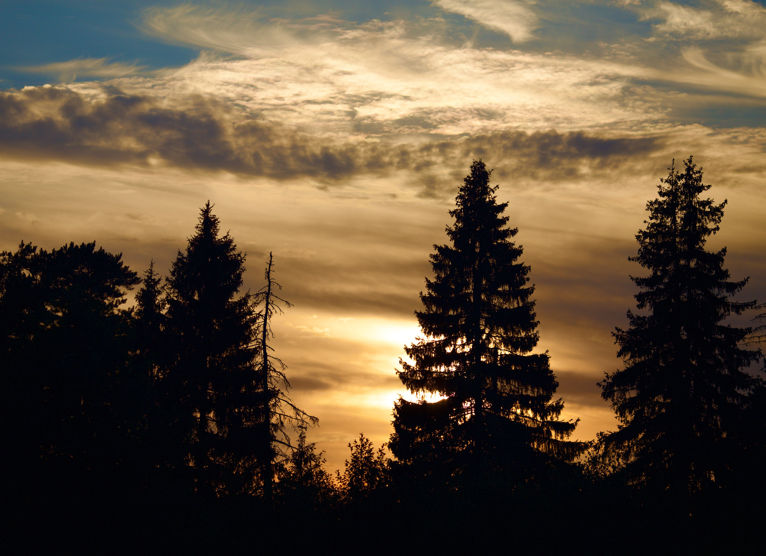 Чудесная природа. Школьные выпускные альбомы в Москве Марина Николаева