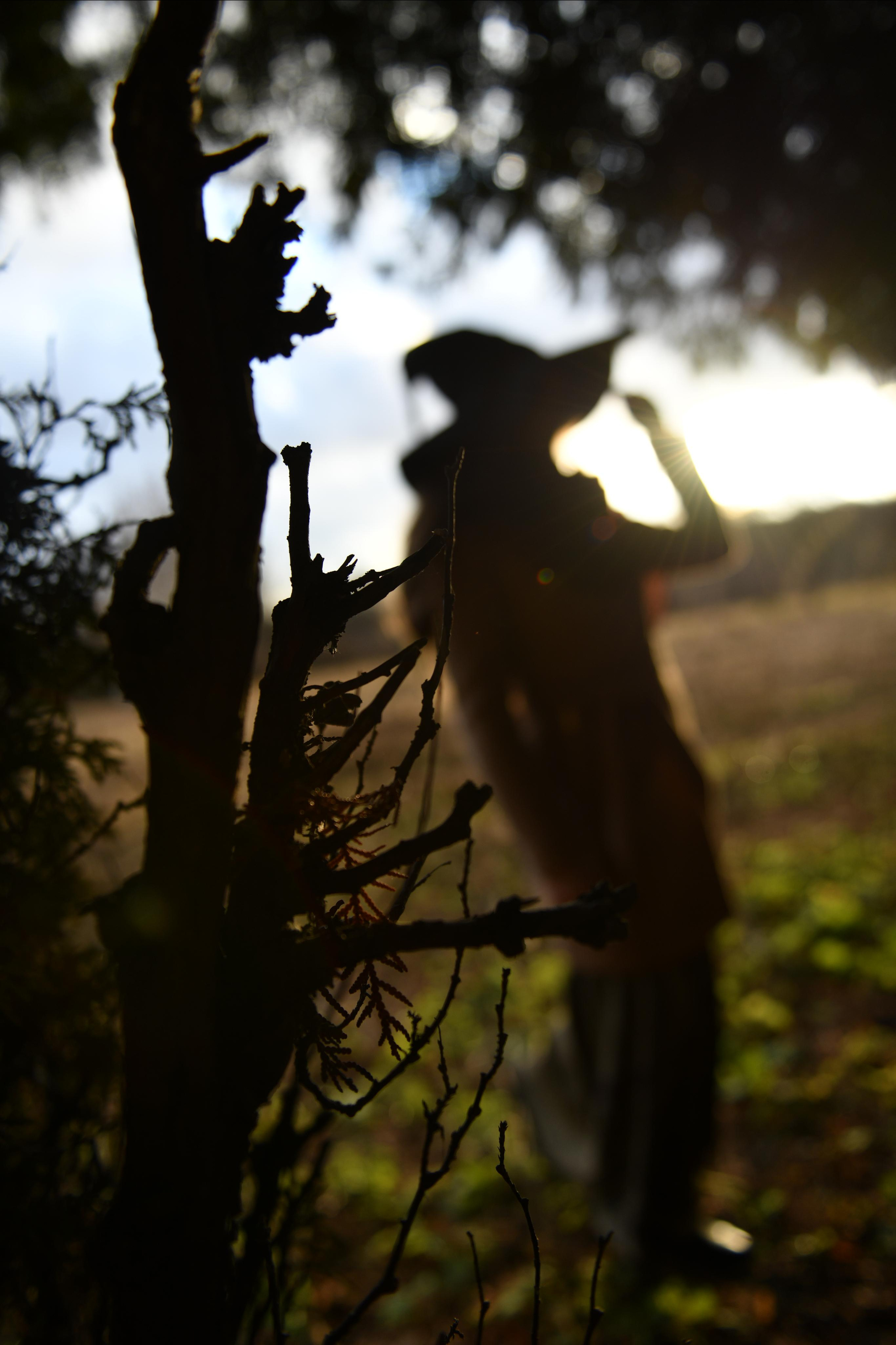 Ведьма в лесу. Свадебный и портретный фотограф в Москве Галина Борисова