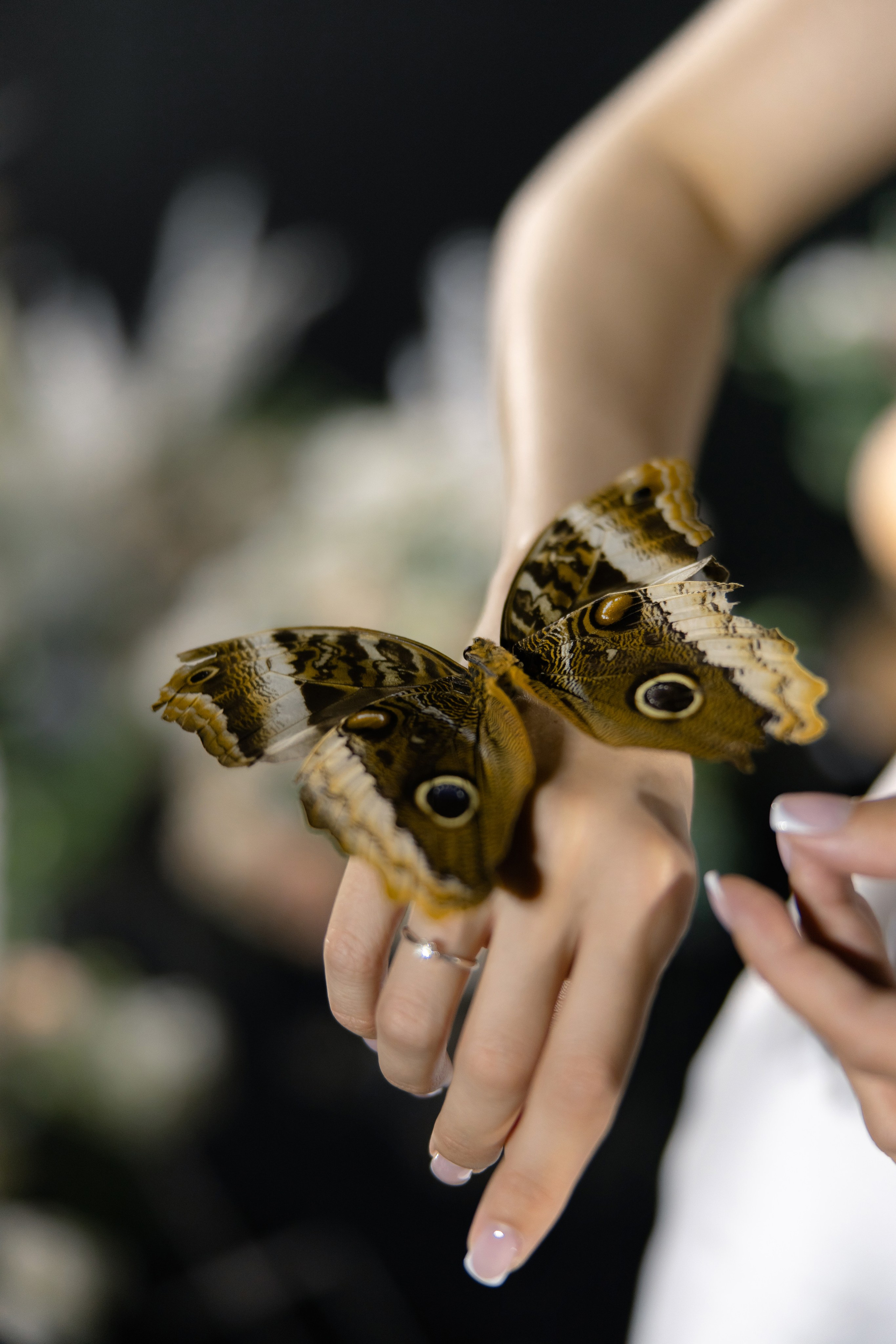 Екатерина & Алексей. Yura Rush Свадебный фотограф Тюмень