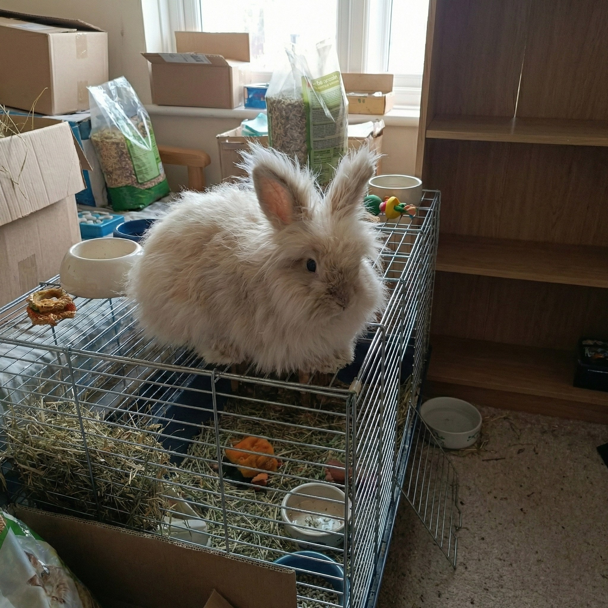 Изменить фон ДО и ПОСЛЕ. Фотохудожник Наталия Кирсанова