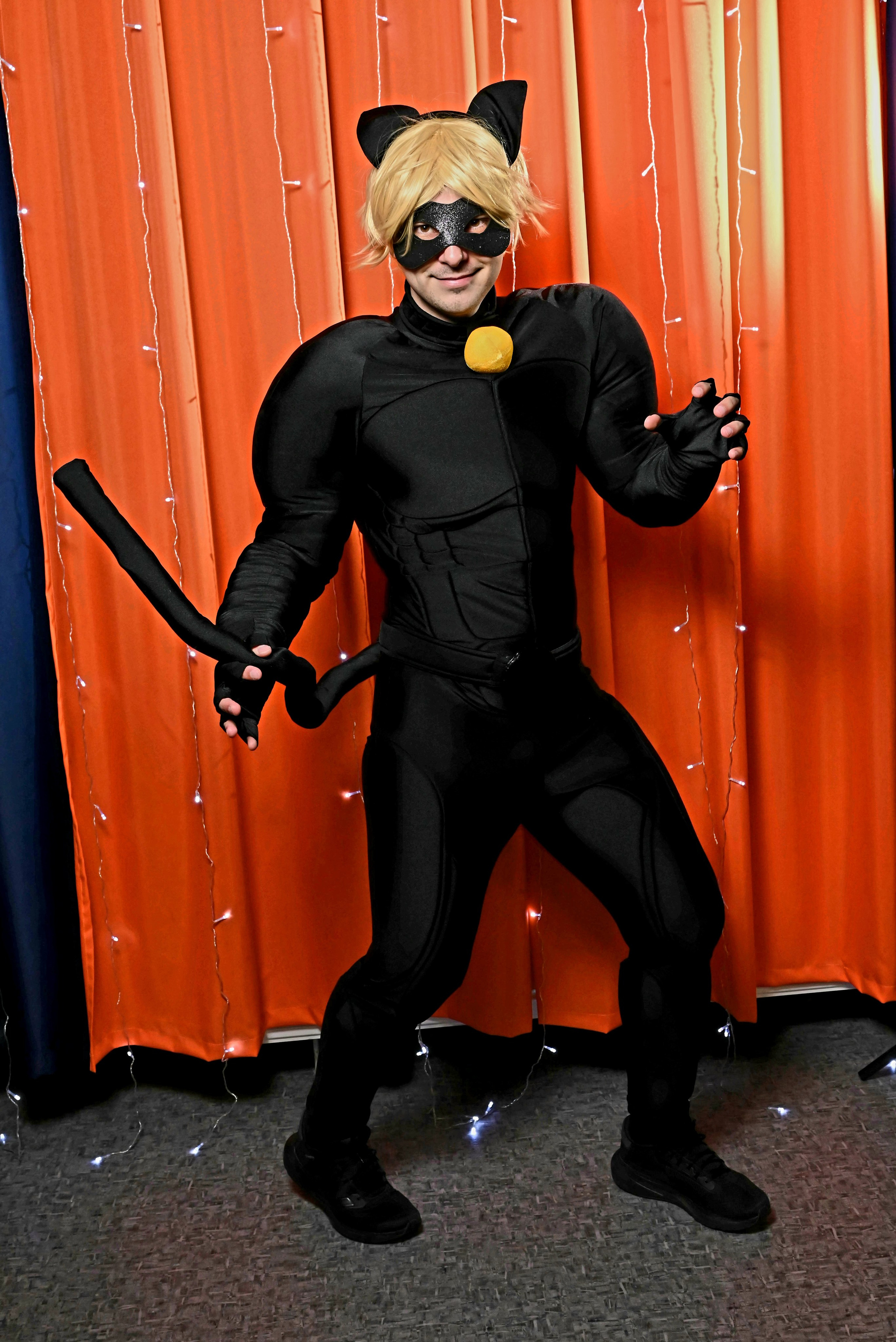 Черный кот и божья коровка. Девятое королевство