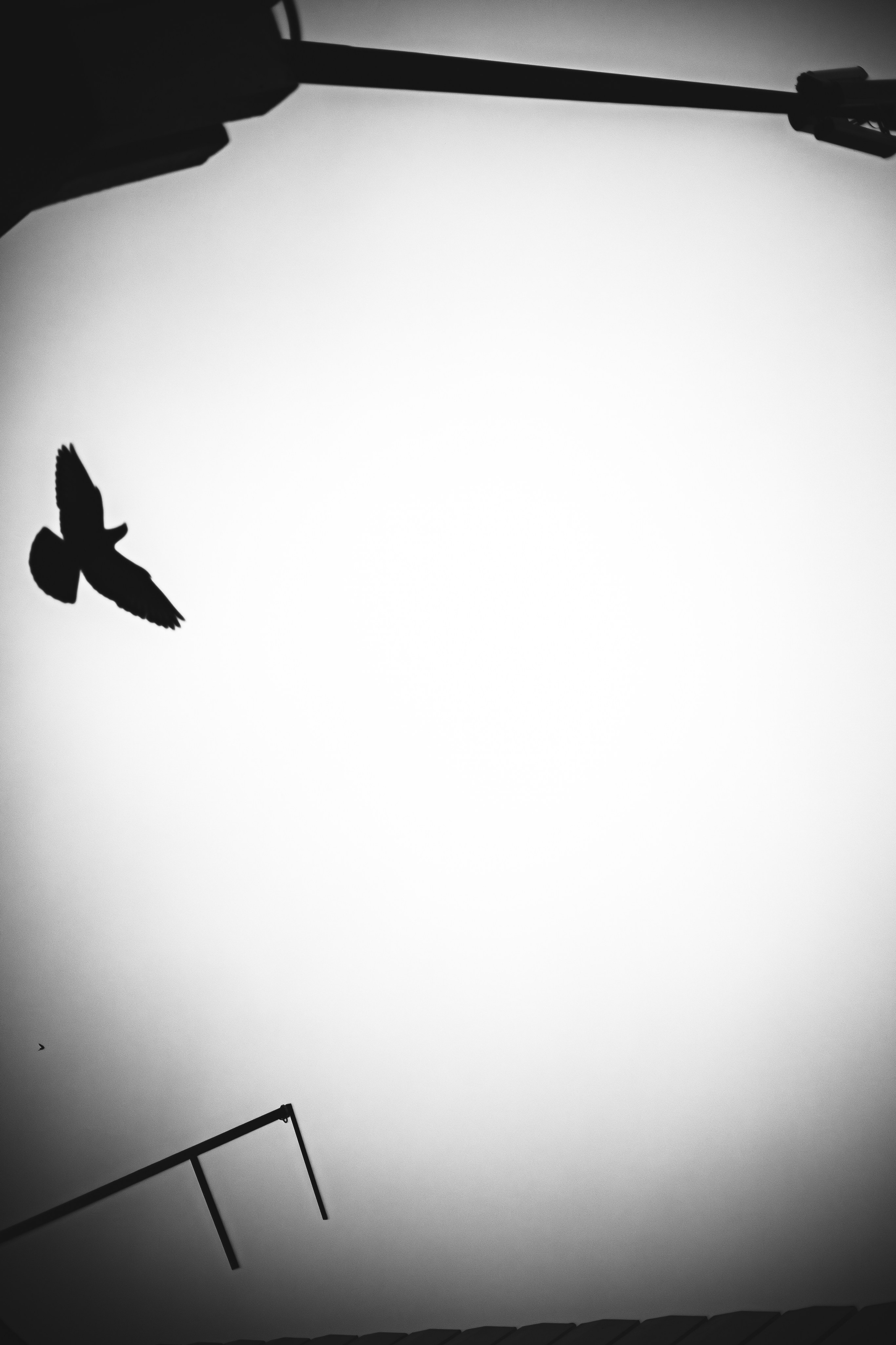 Речпорт. Фотограф Паша Максимов