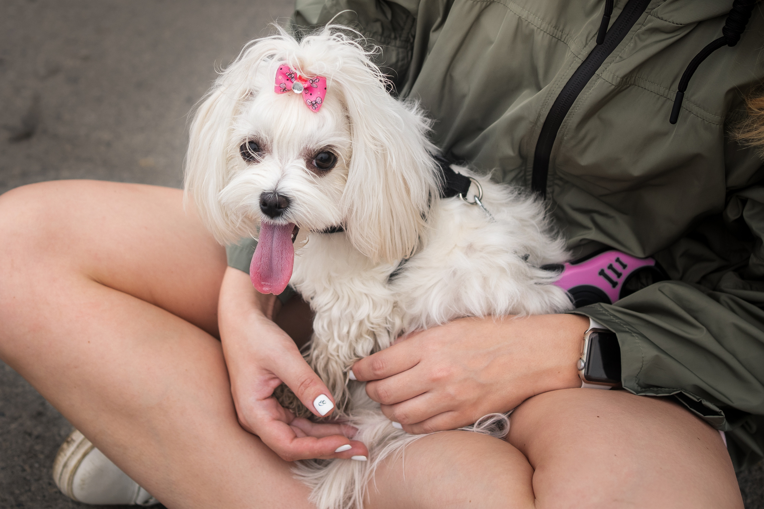Лиза. Фотограф-анималист Анастасия Большакова