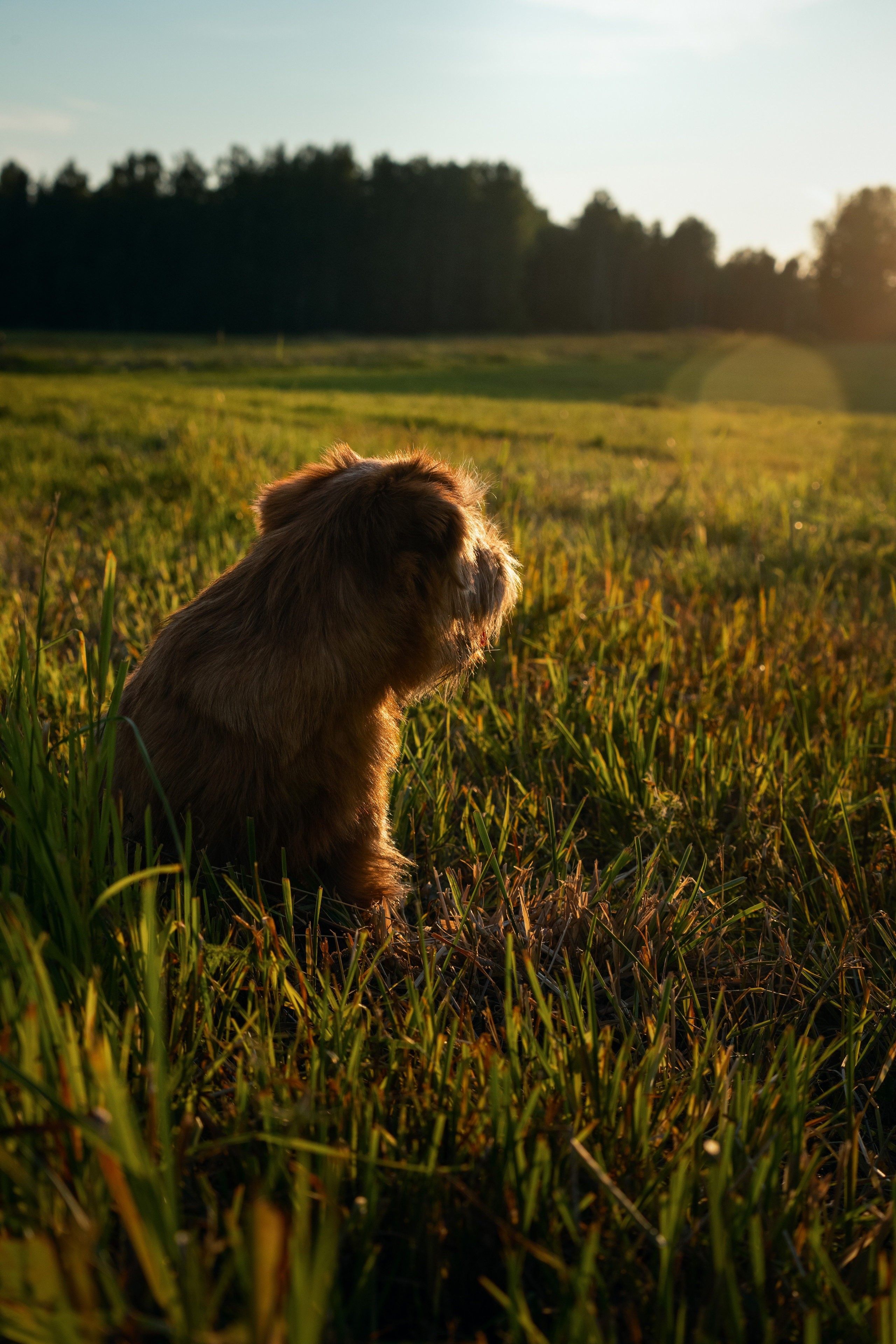 Джем. Фотограф-анималист Анастасия Большакова
