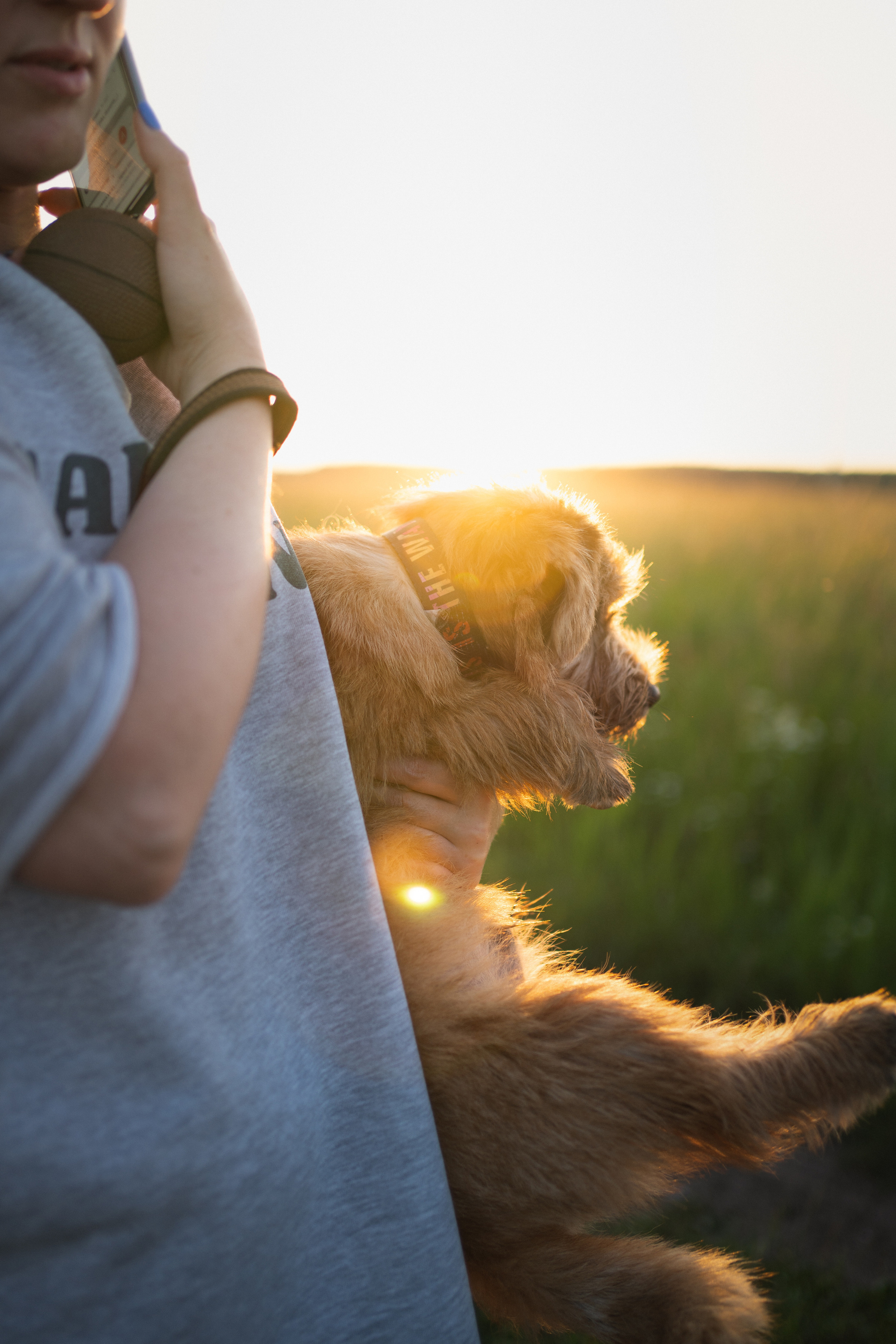 Джем. Фотограф-анималист Анастасия Большакова
