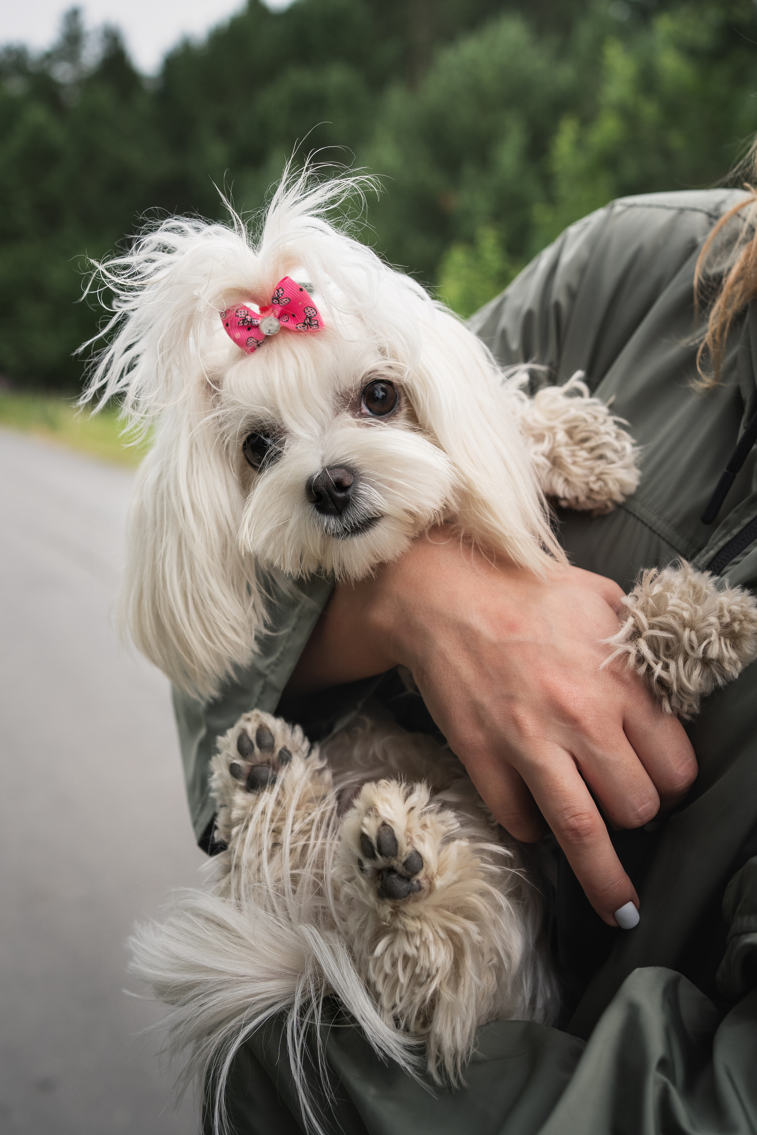 Лиза. Фотограф-анималист Анастасия Большакова