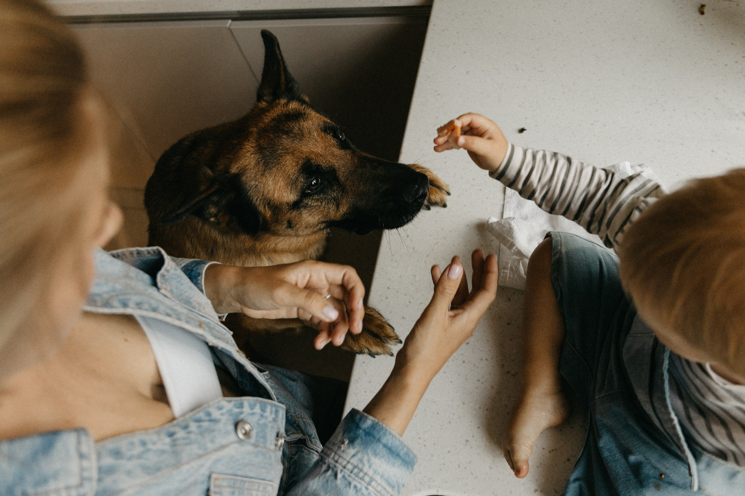 Катя и Стас. Главная