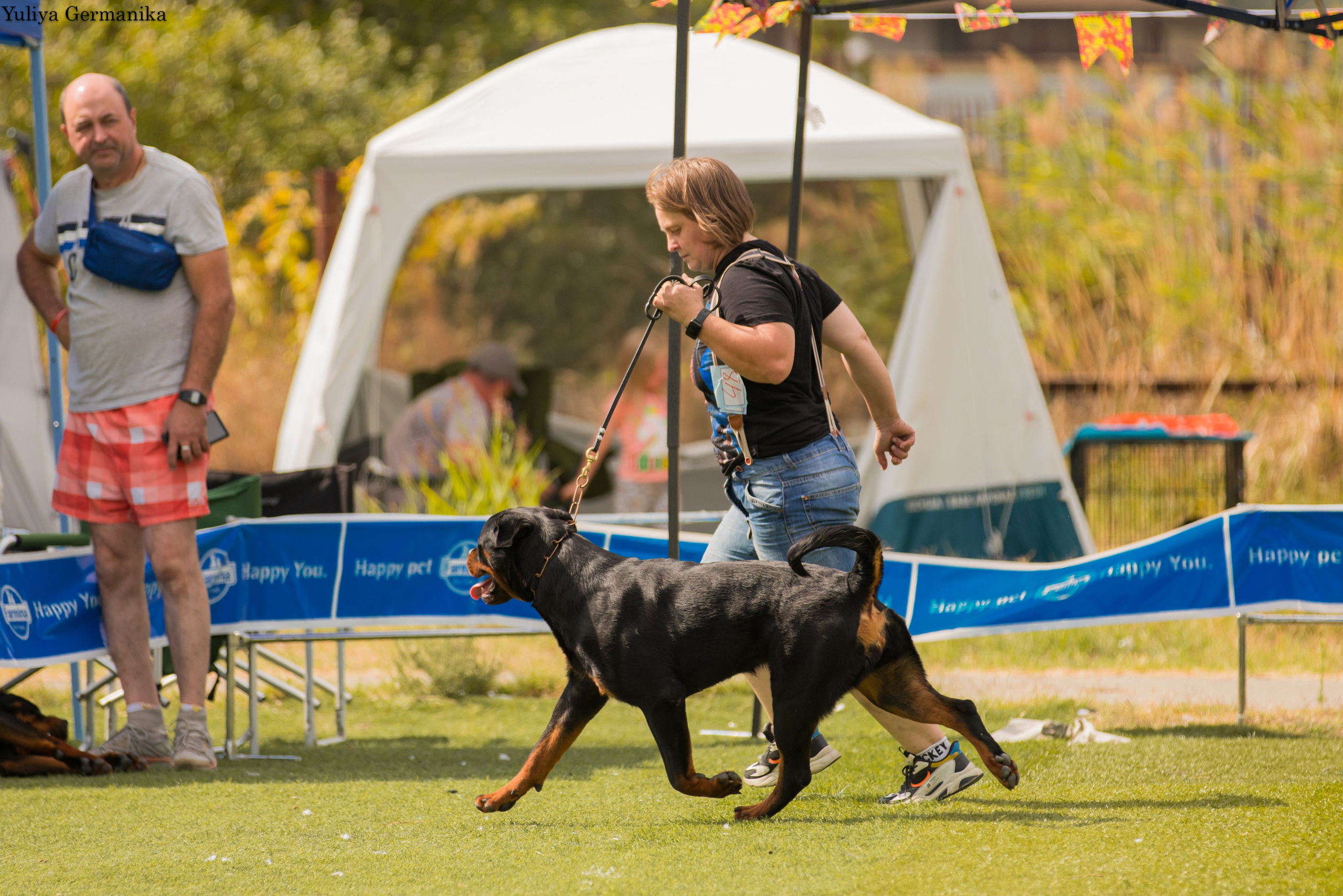 Анапа 16-17.09.2023 моно ротвейлеров. Фотограф-анималист Юлия Германика