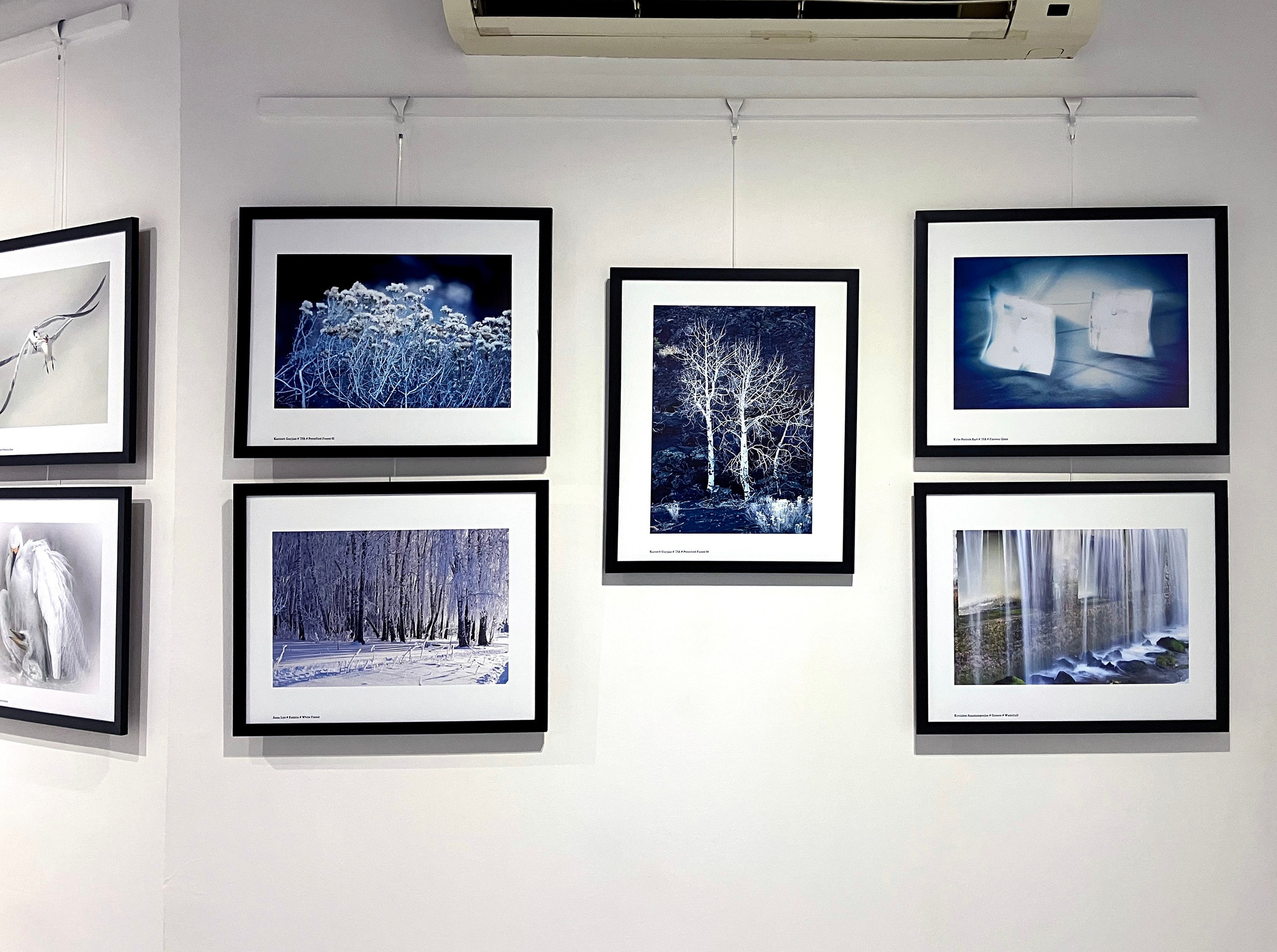 Exhibitions. Author’s fine art prints with international delivery