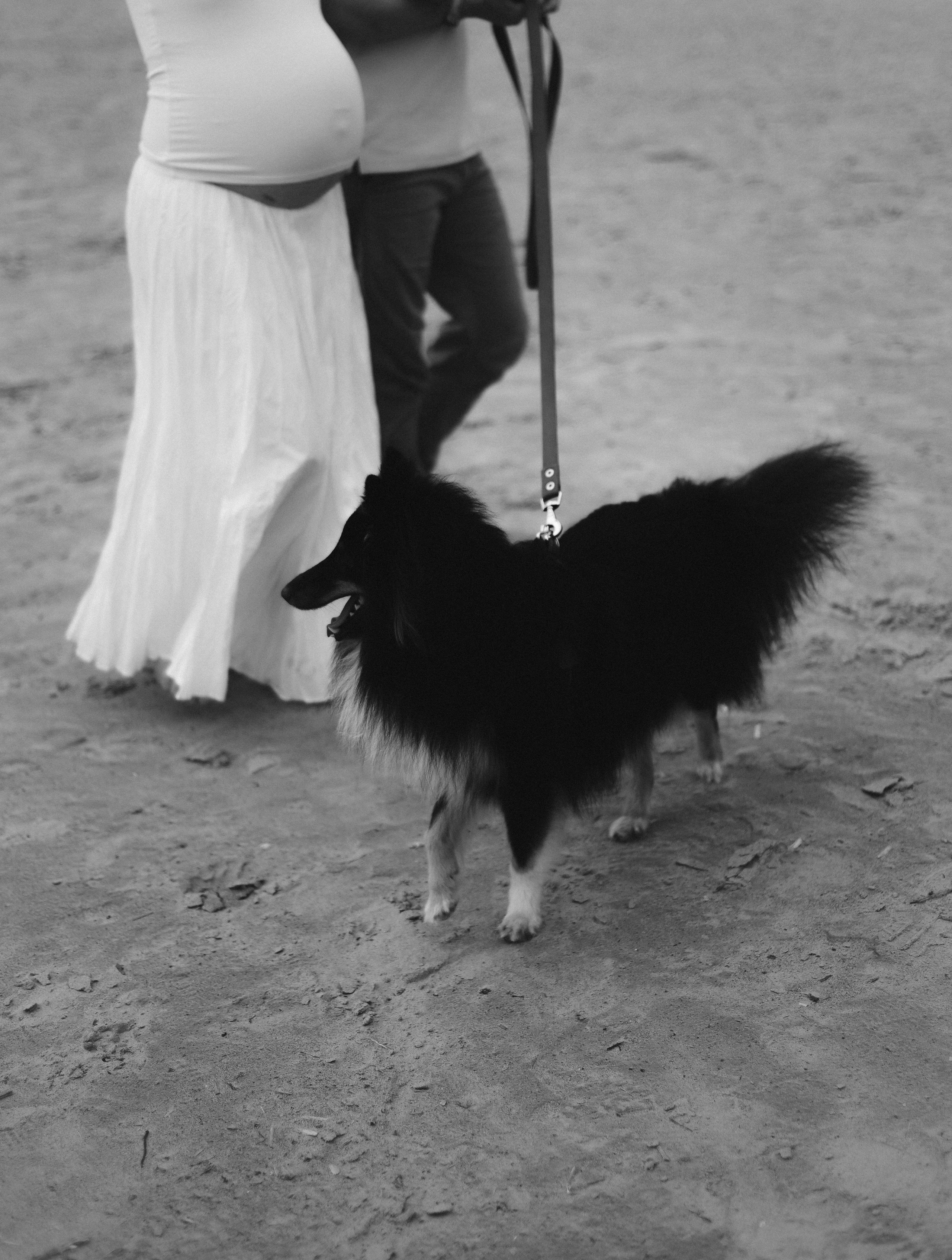 Tanya&Pasha. Фотограф в Санкт-Петербурге 📸 | Ульяна Ситникова