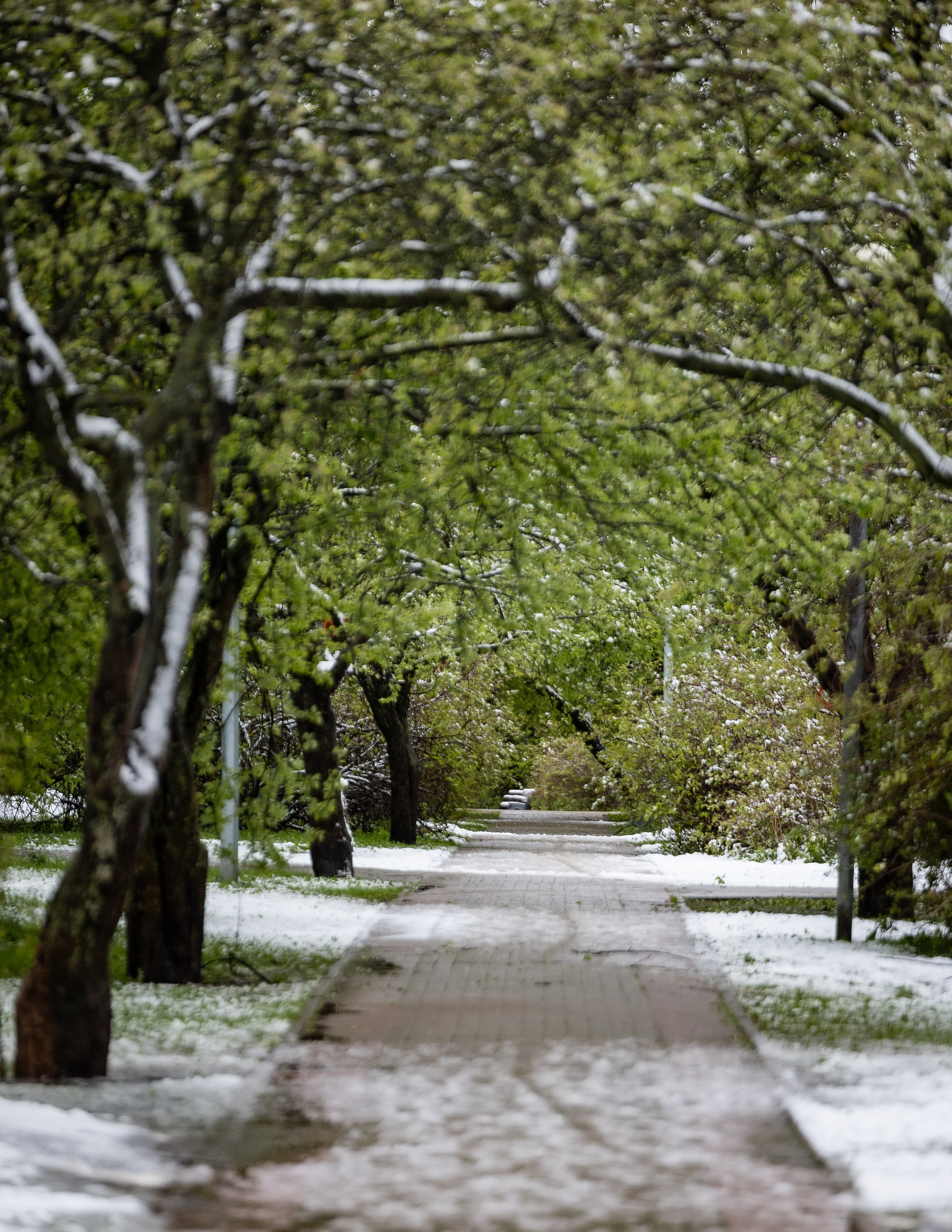 Городской пейзаж. Фотограф Владимир Охрименко