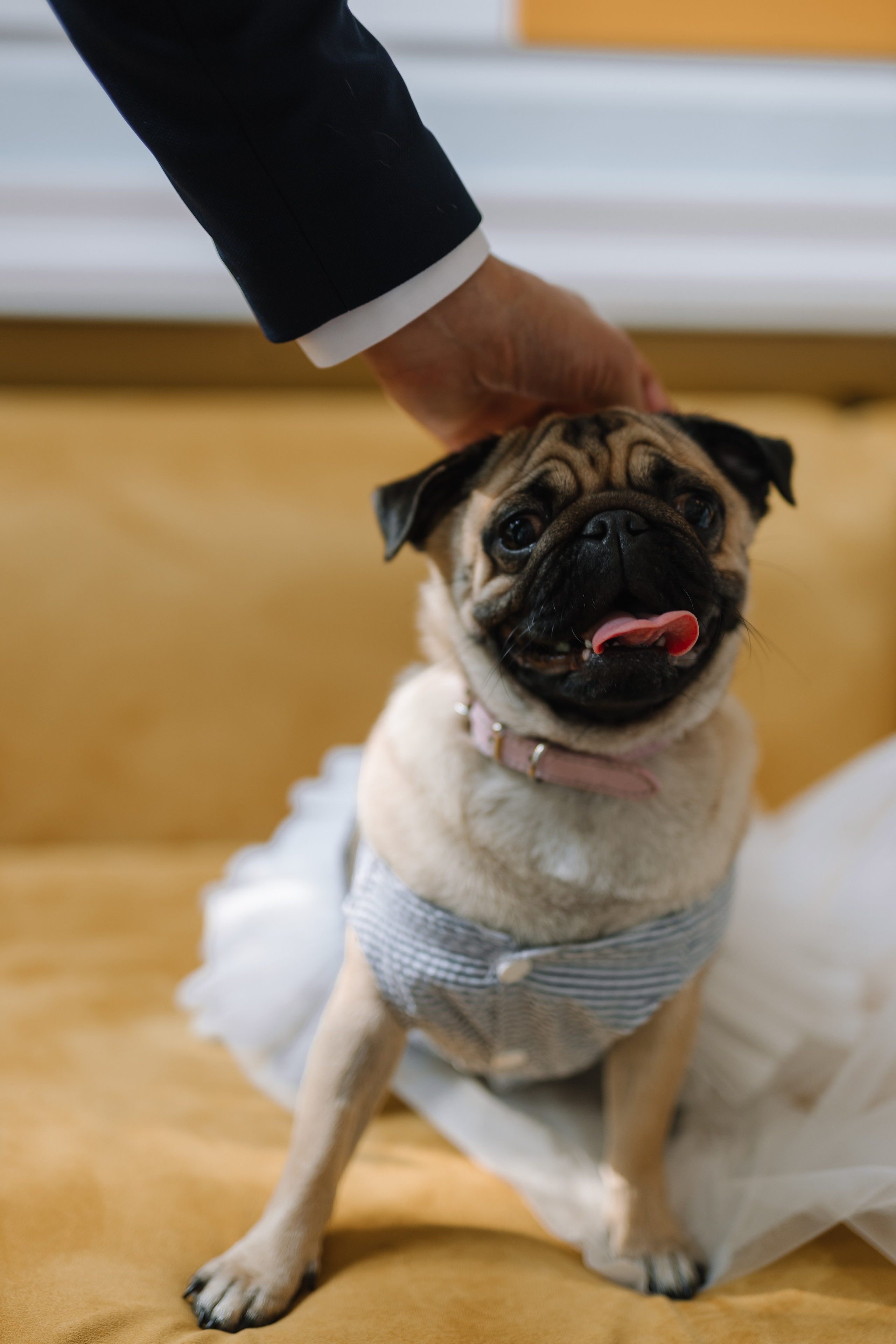 16 сентября. Свадебный и портретный фотограф в Москве, Туле и Брянске Дара Евсеева