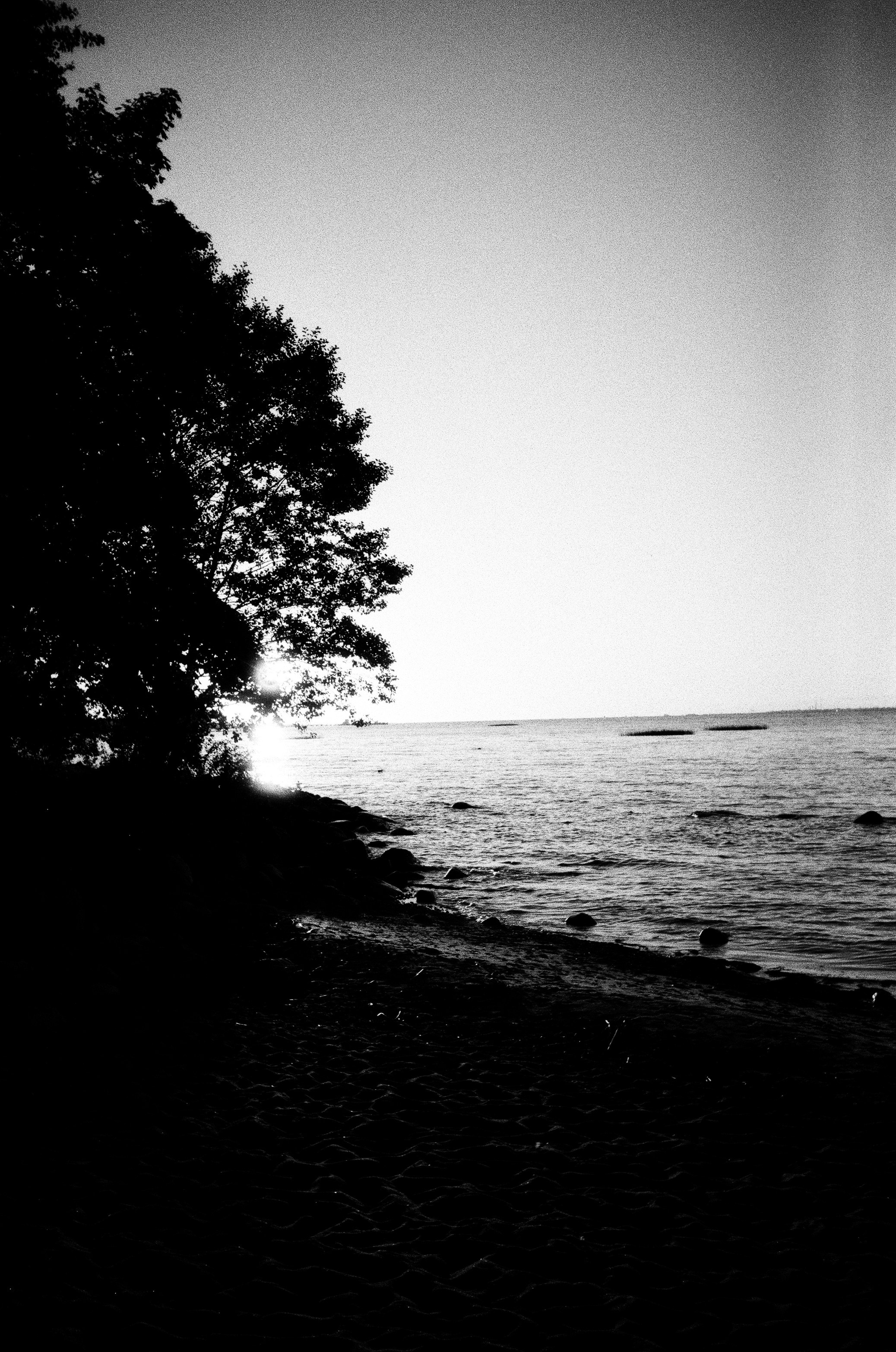 Elena Raya • Photographer