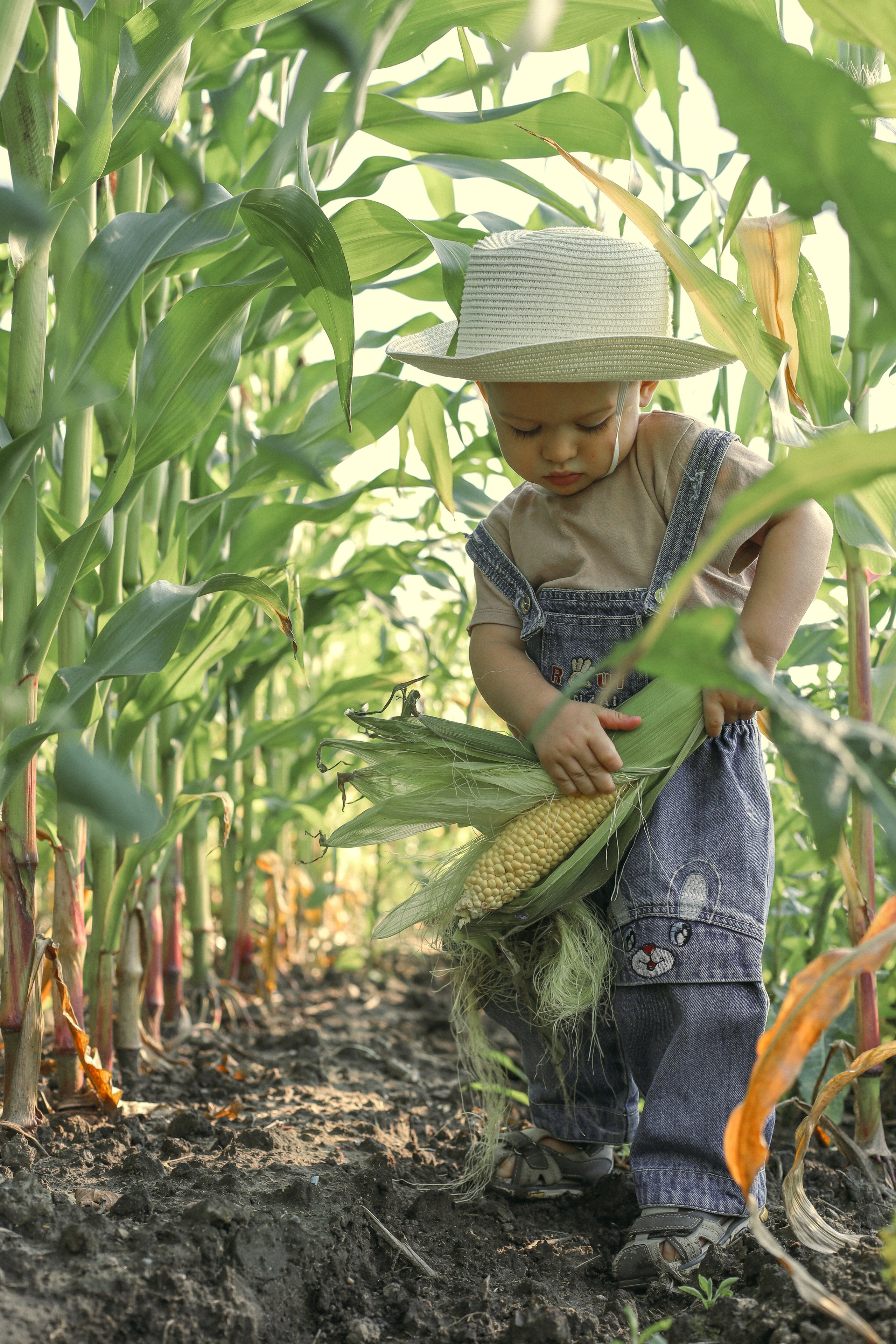 Фотопроекты. Семейный и детский фотограф в Санкт-Петербурге «Chilik»