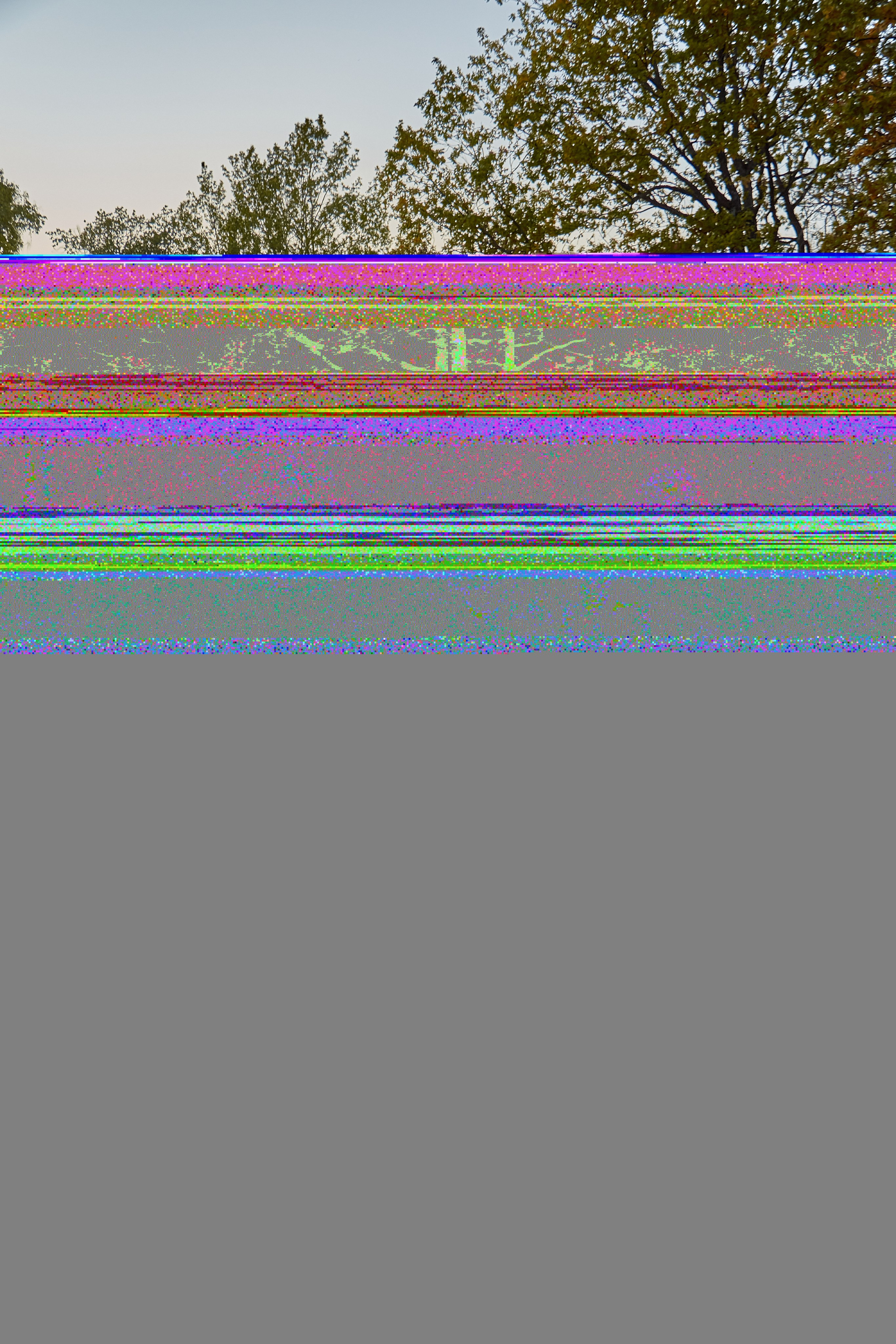 Игорь и Анастасия. Фотограф Щёлково