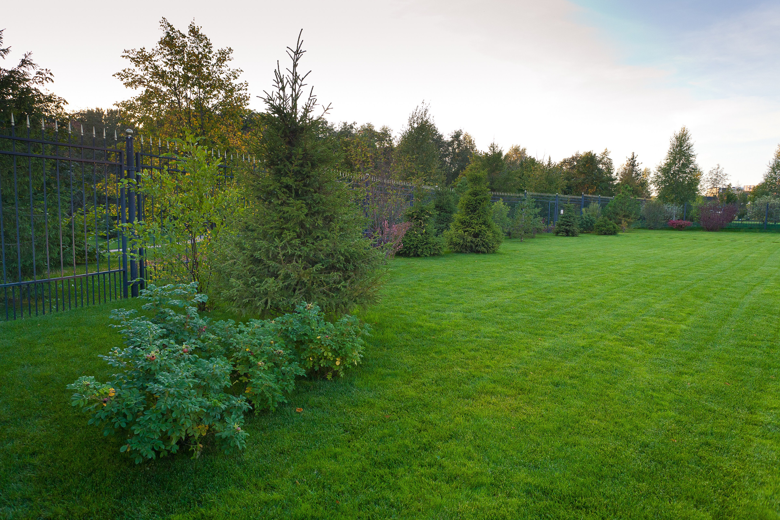 Ландшафт. Новый год 2026