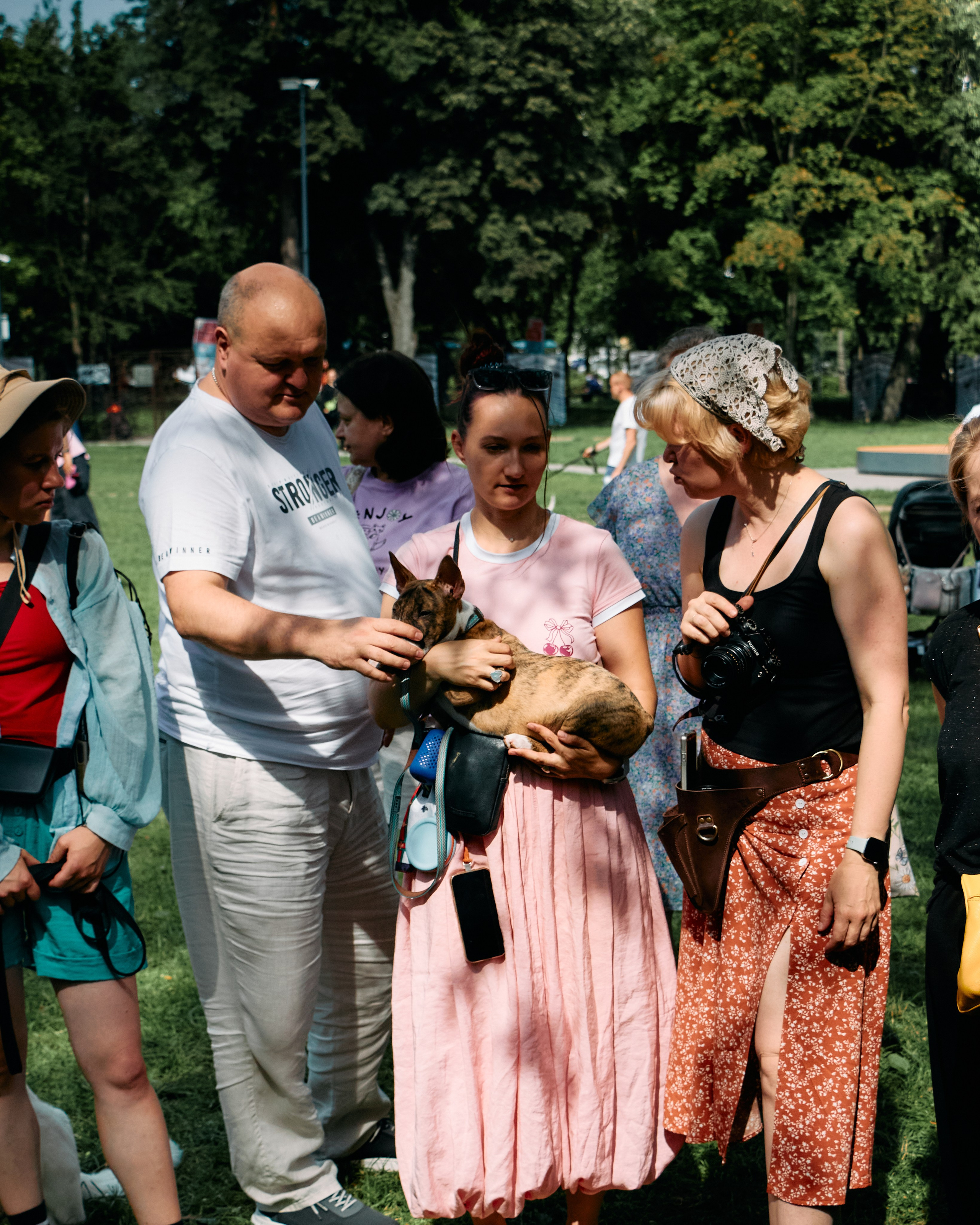 Бульфест. Фотограф домашних животных в Москве | Данил Сорокин