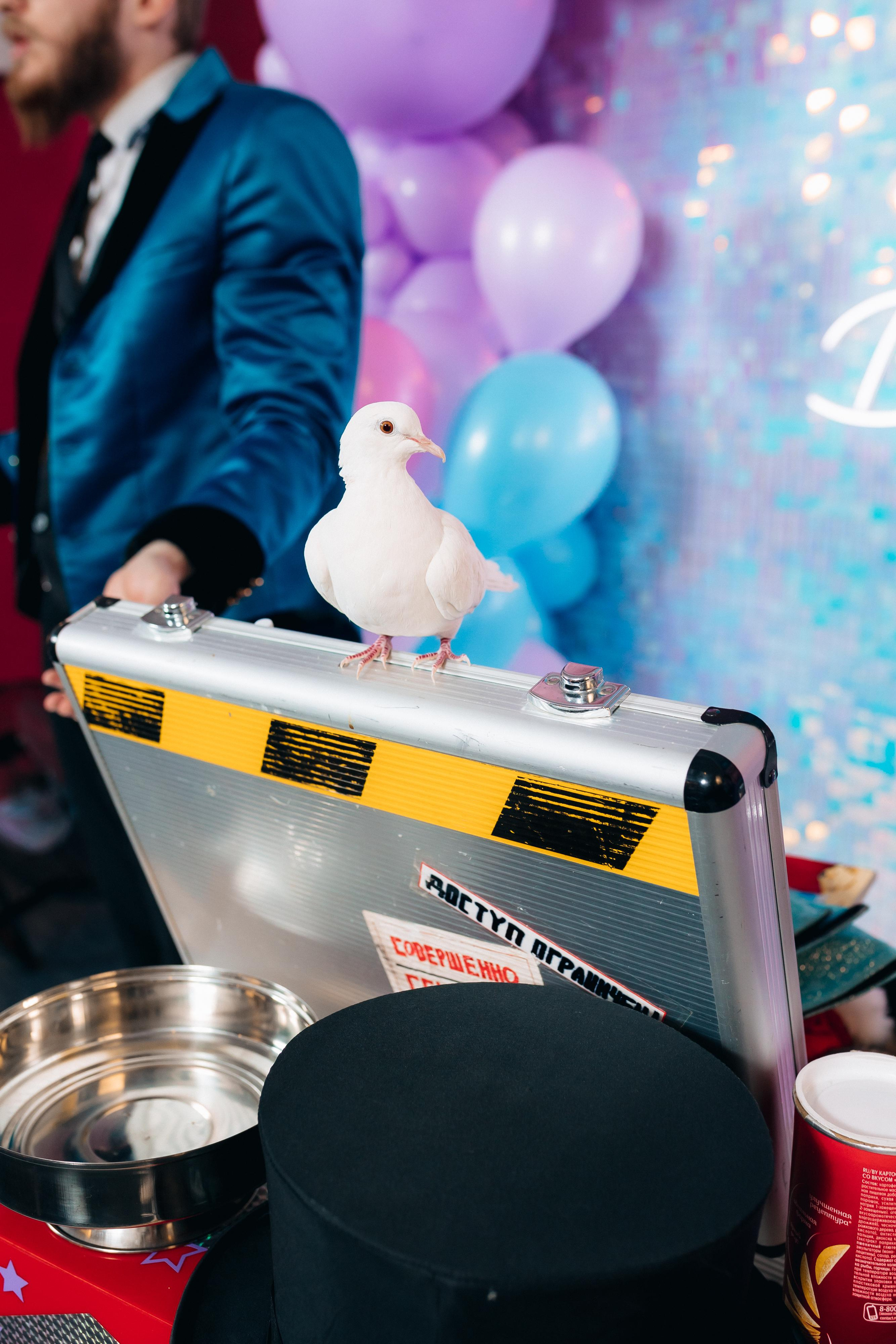 Дни Рождения. Фотограф в Санкт-Петербурге Кирюшенков Андрей