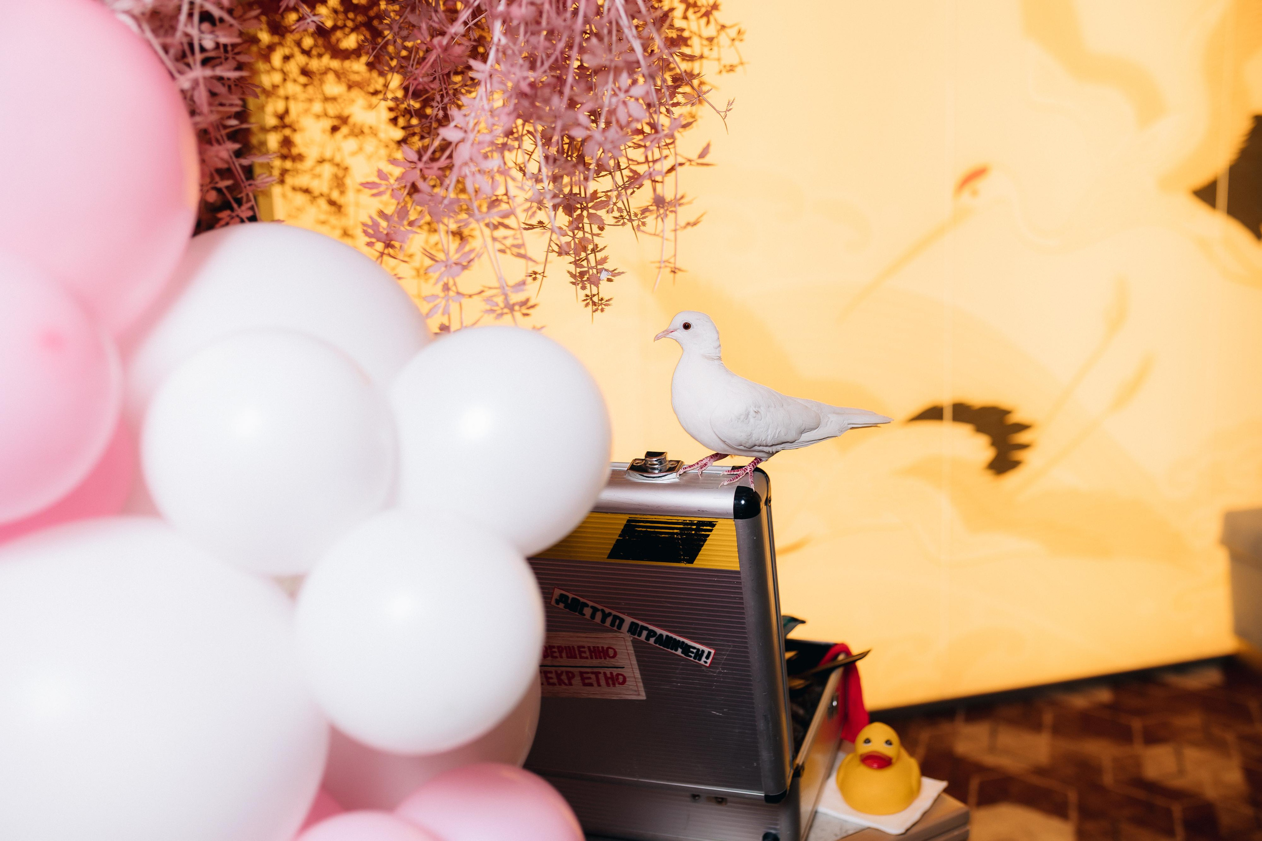 Дни Рождения. Фотограф в Санкт-Петербурге Кирюшенков Андрей