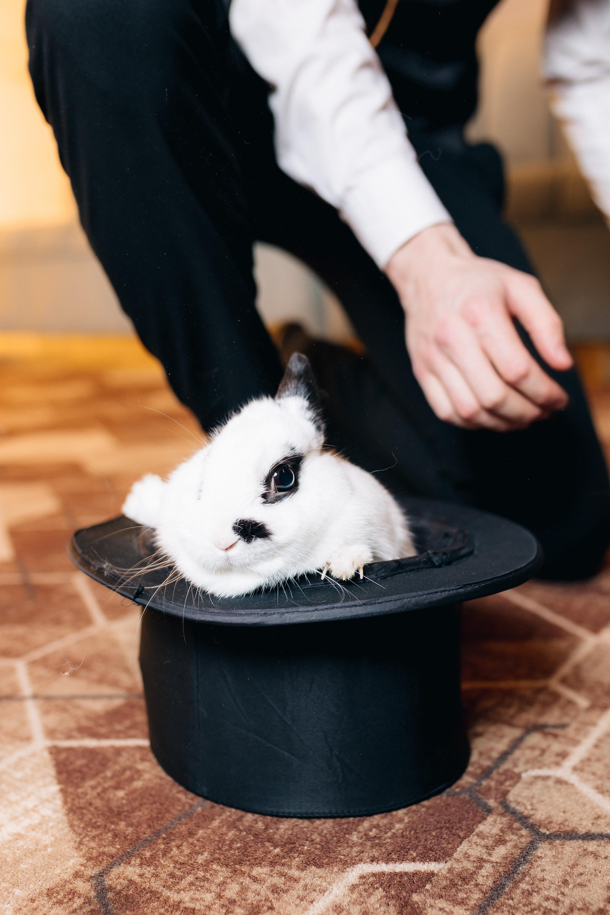 Дни Рождения. Фотограф в Санкт-Петербурге Кирюшенков Андрей