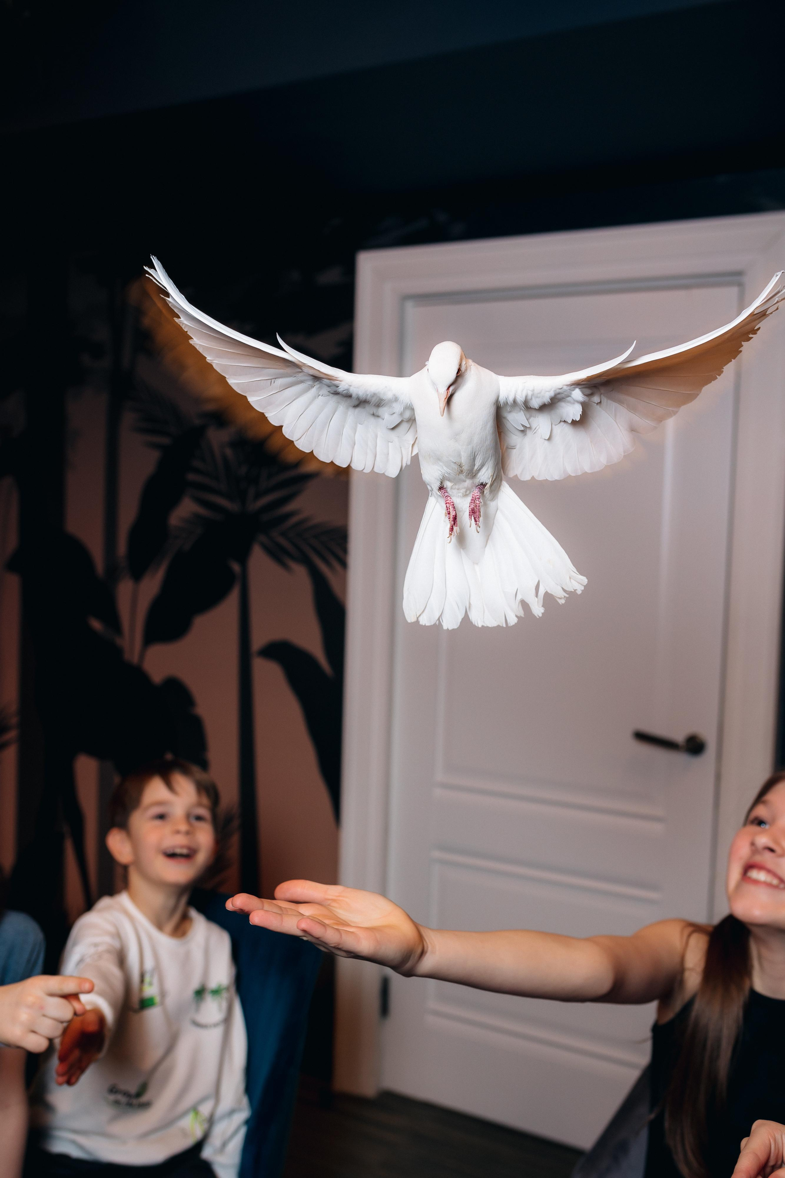 Дни Рождения. Фотограф в Санкт-Петербурге Кирюшенков Андрей