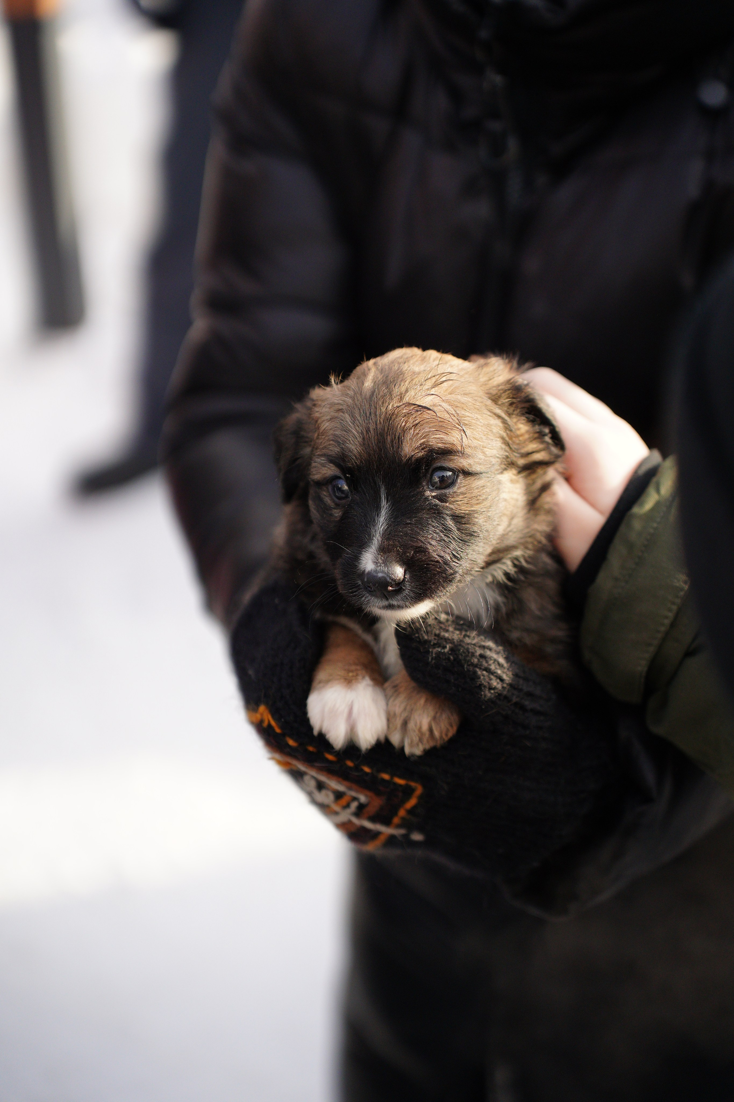 Благотворительная Акция «Ищу Человека». Pupov.png