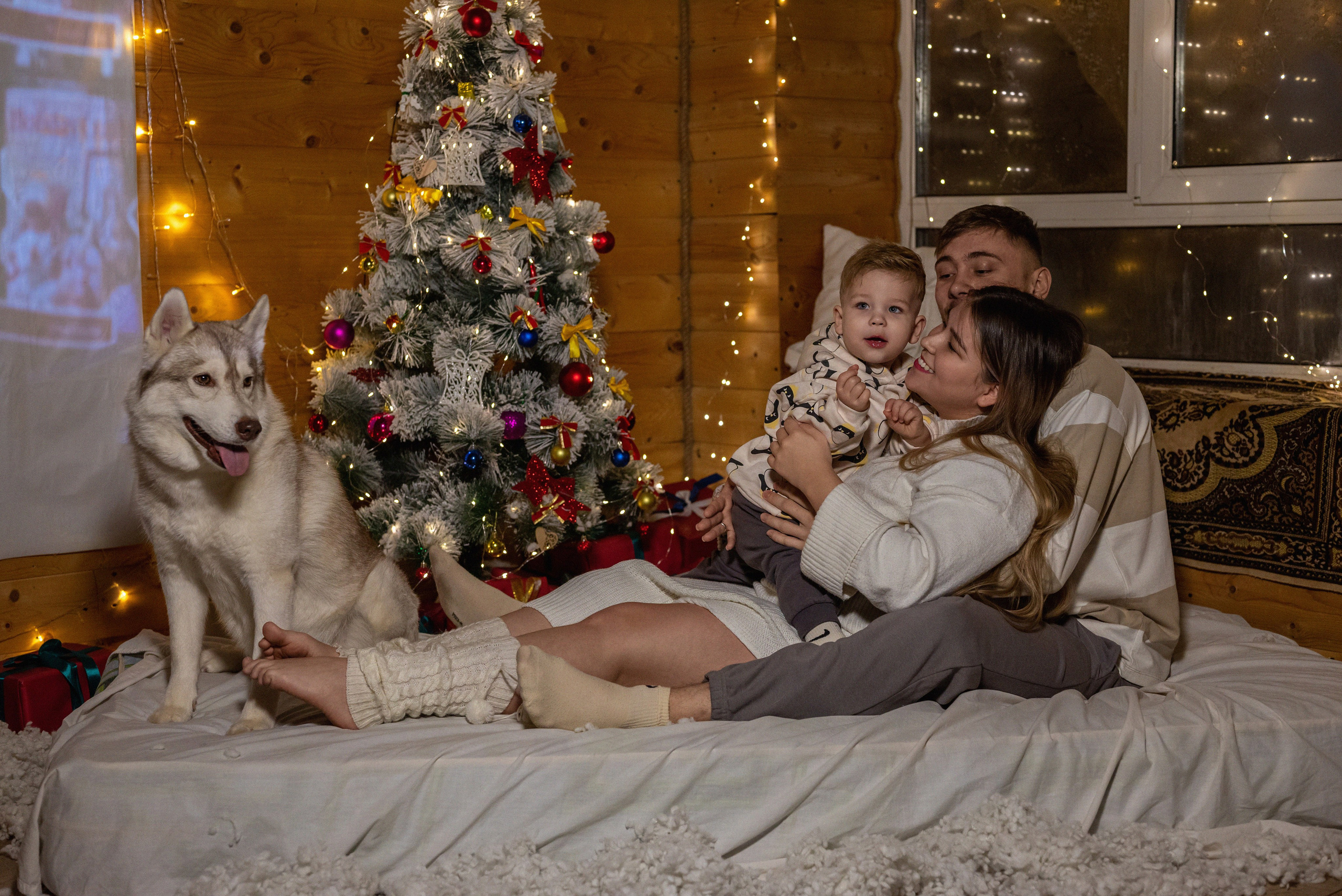 Фотопроект с хаски 2024 г. Фотограф в городе Салават