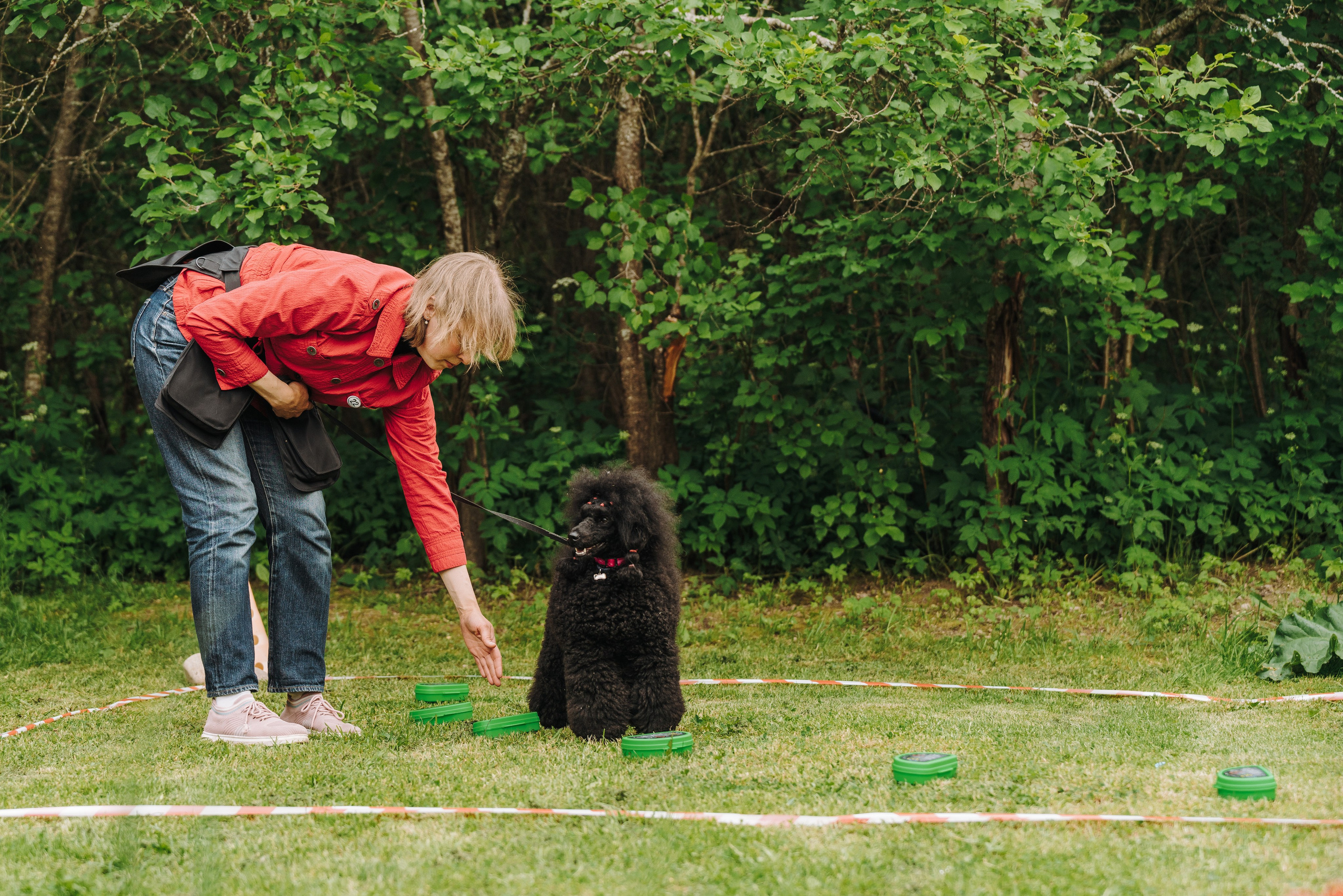 Соревнования по ноузворку. Фотограф анималист в Спб недорого Олеся Майорова