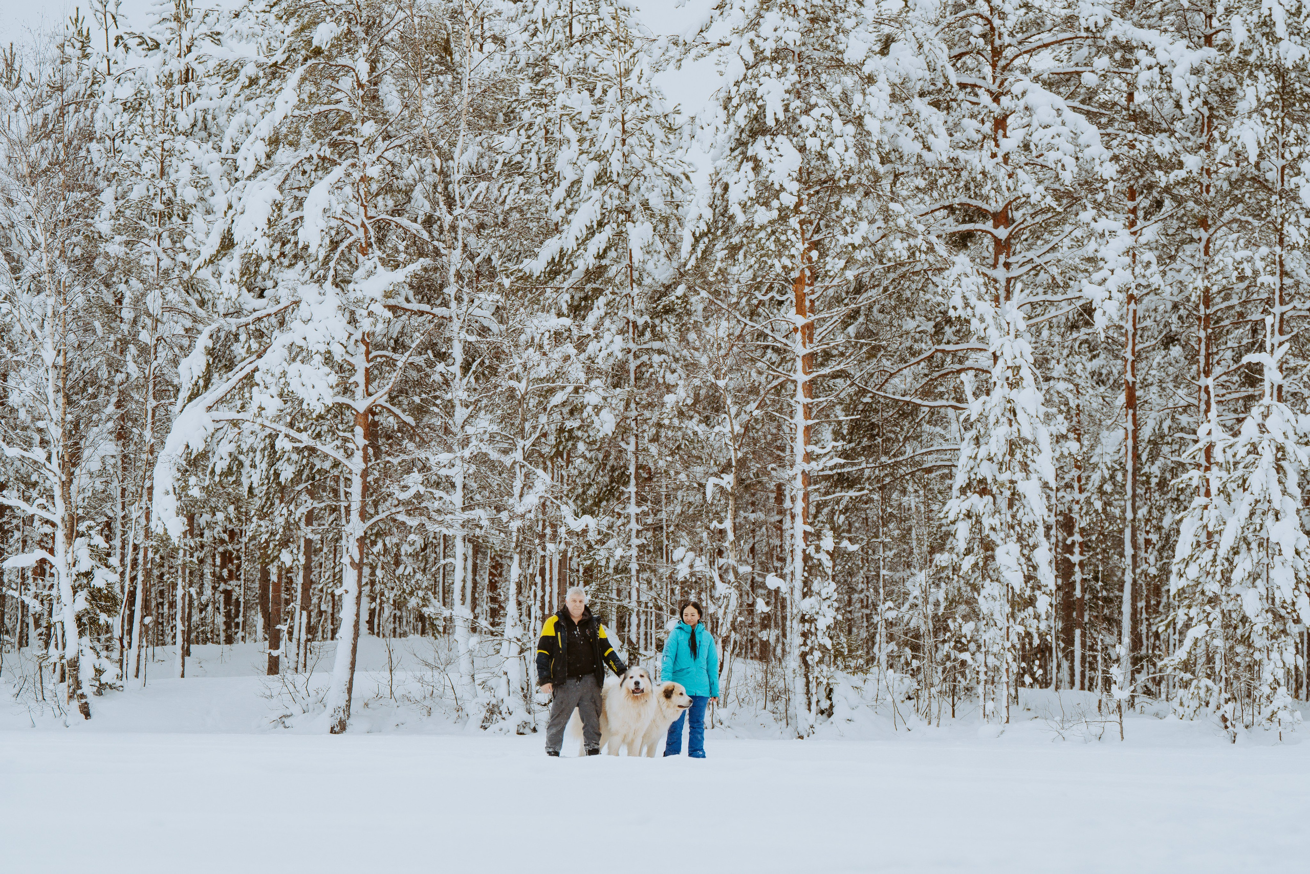 Фотограф питомцев в Санкт-Петербурге. Фотограф анималист в Спб недорого Олеся Майорова