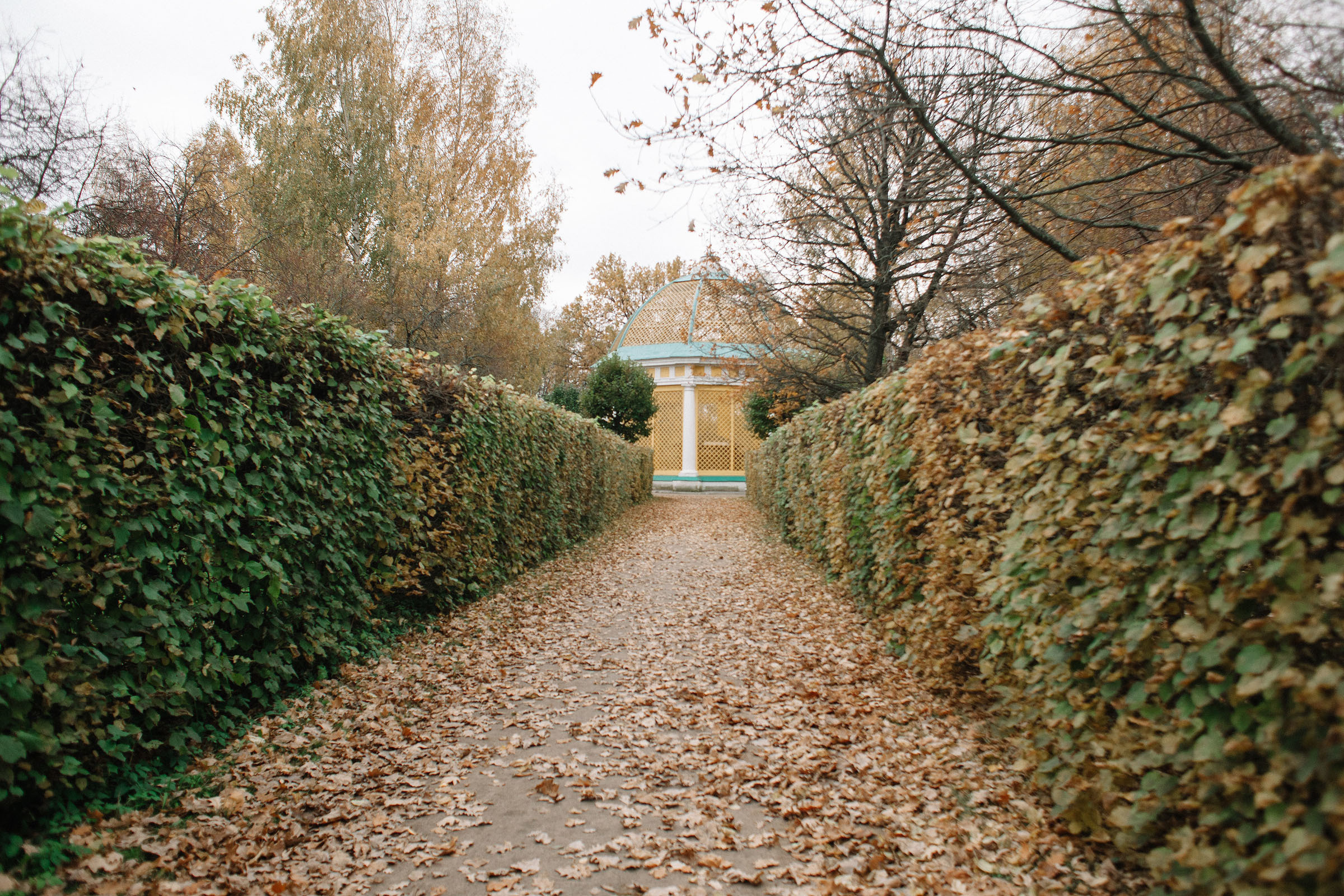 Маша Катя Вова. Семейный и свадебный фотограф в Майкопе Михаил Мартиросян