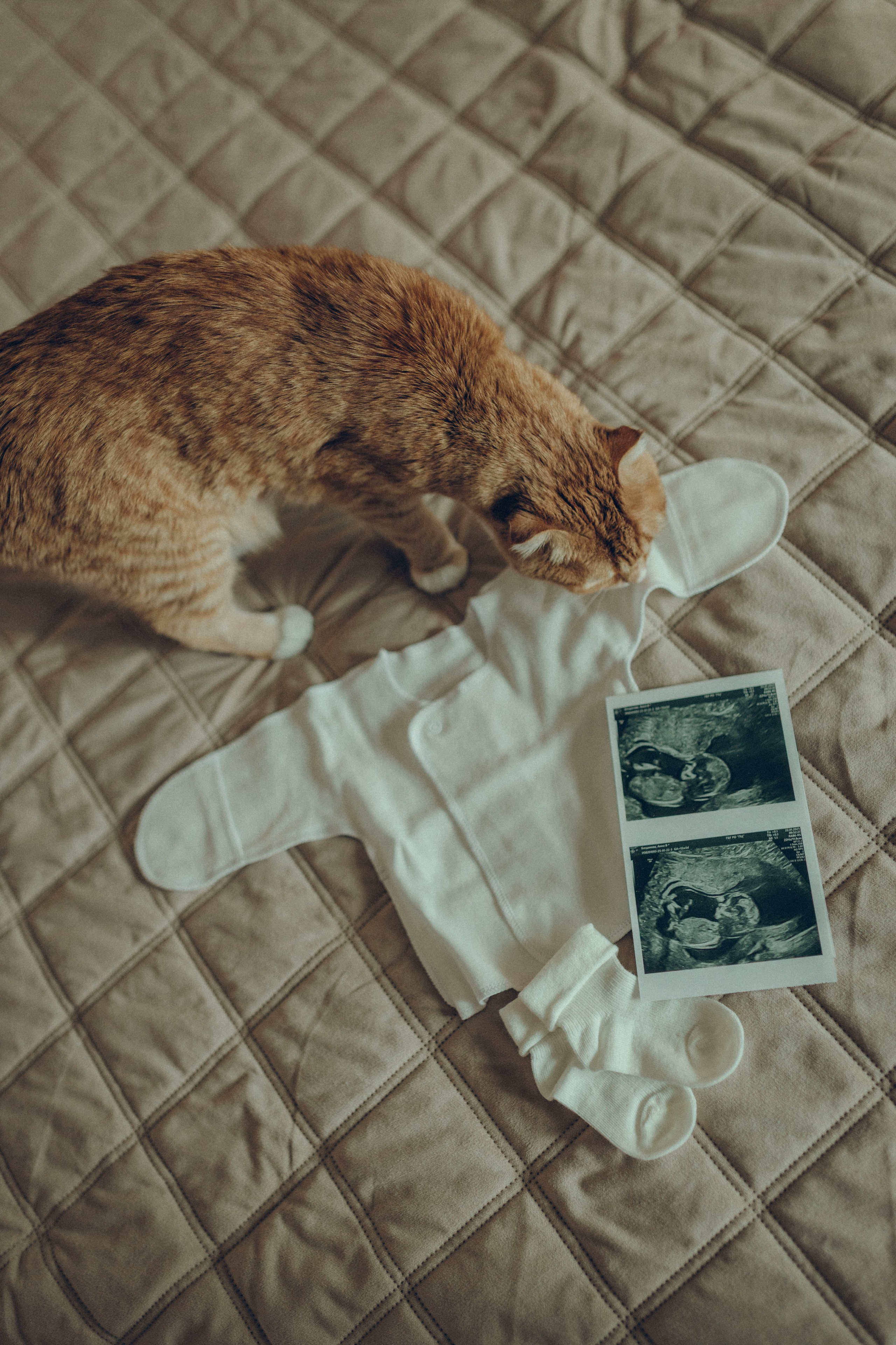 Аня & Кирилл. Семейный фотограф и фотограф на роды в Ростове-на-Дону Мухина Виктория