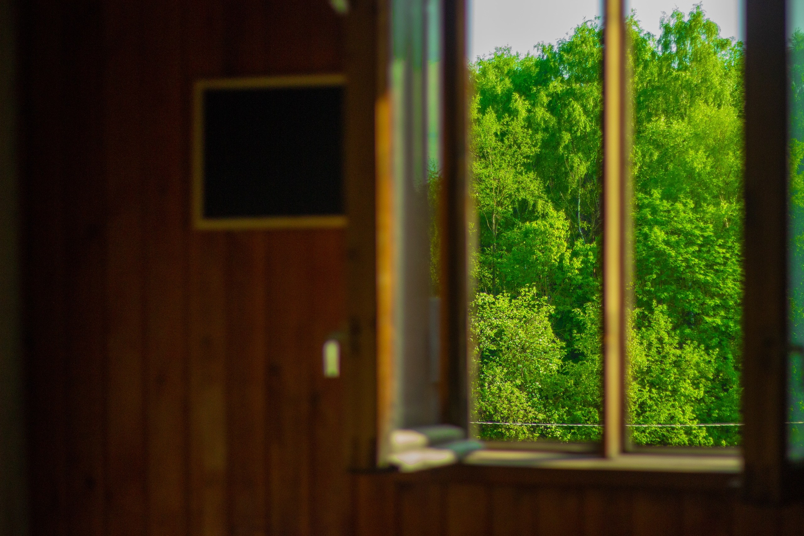 Другое. Jorgis Talè — photographer, kind person, teacher of arts and other mag