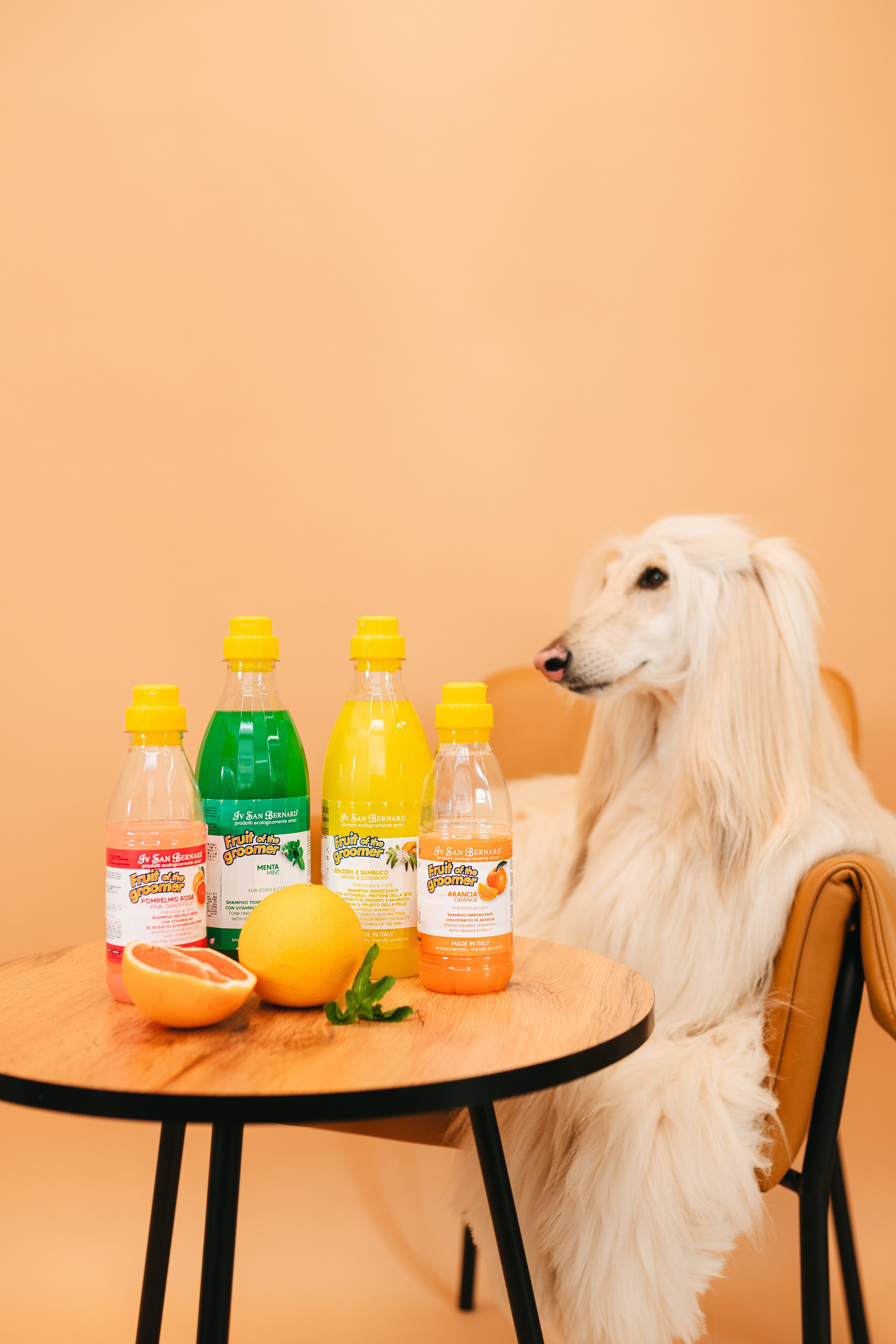 Груминг — салон. Фотограф анималист Осипчикова Мария