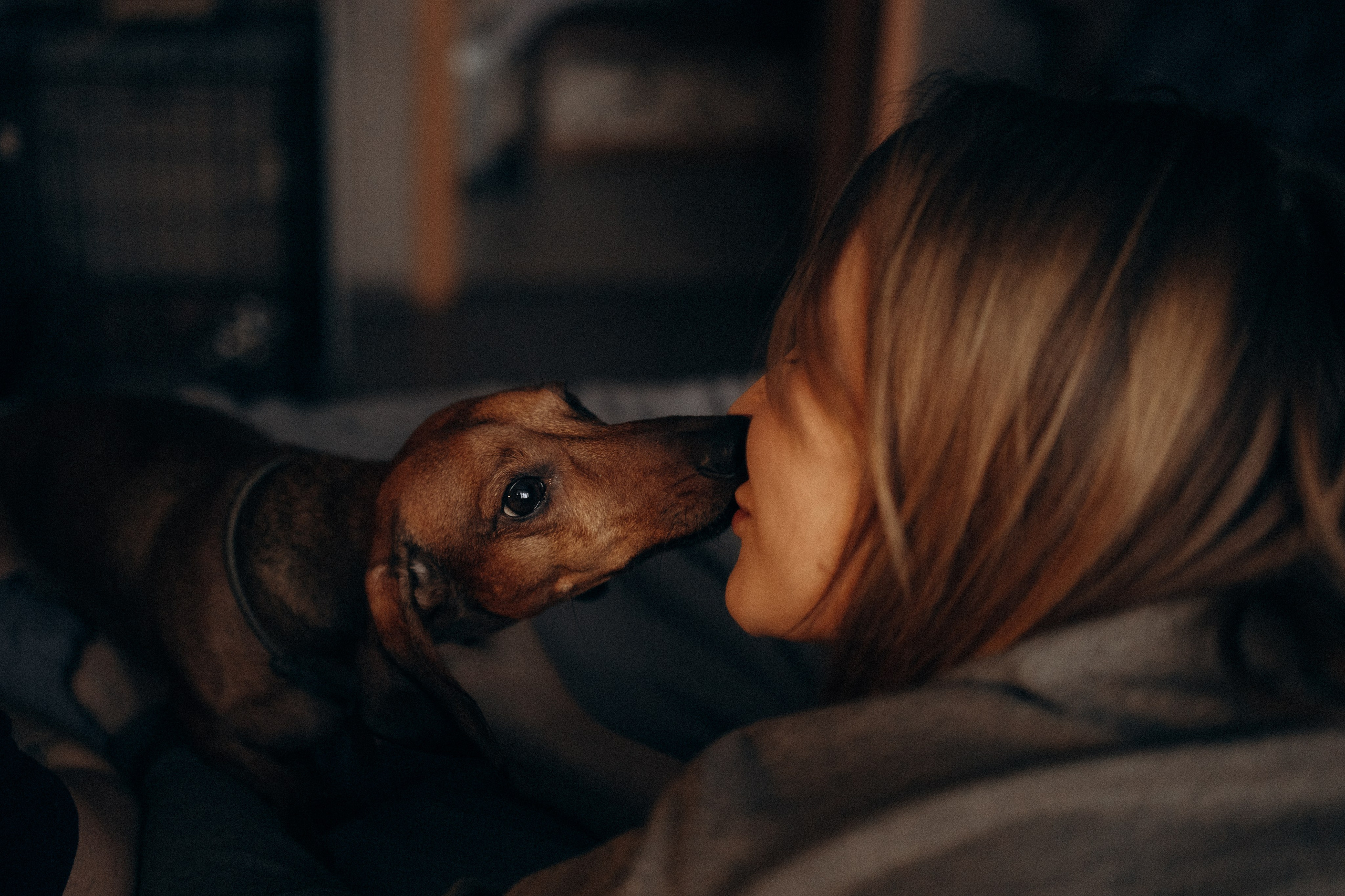 Маша и ее семья. Фотораф — анималист Мария Шистка