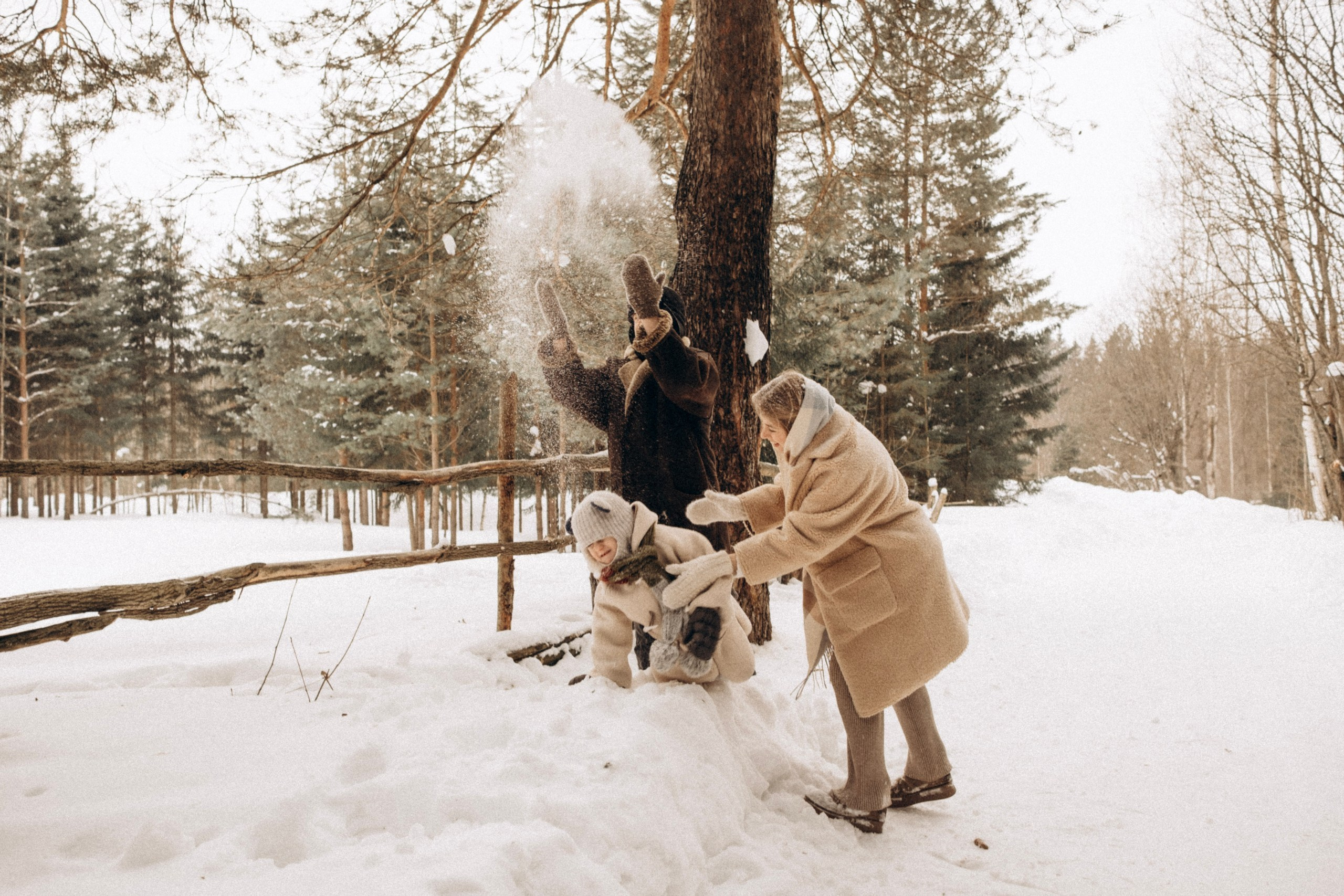 Зимняя история. Главная