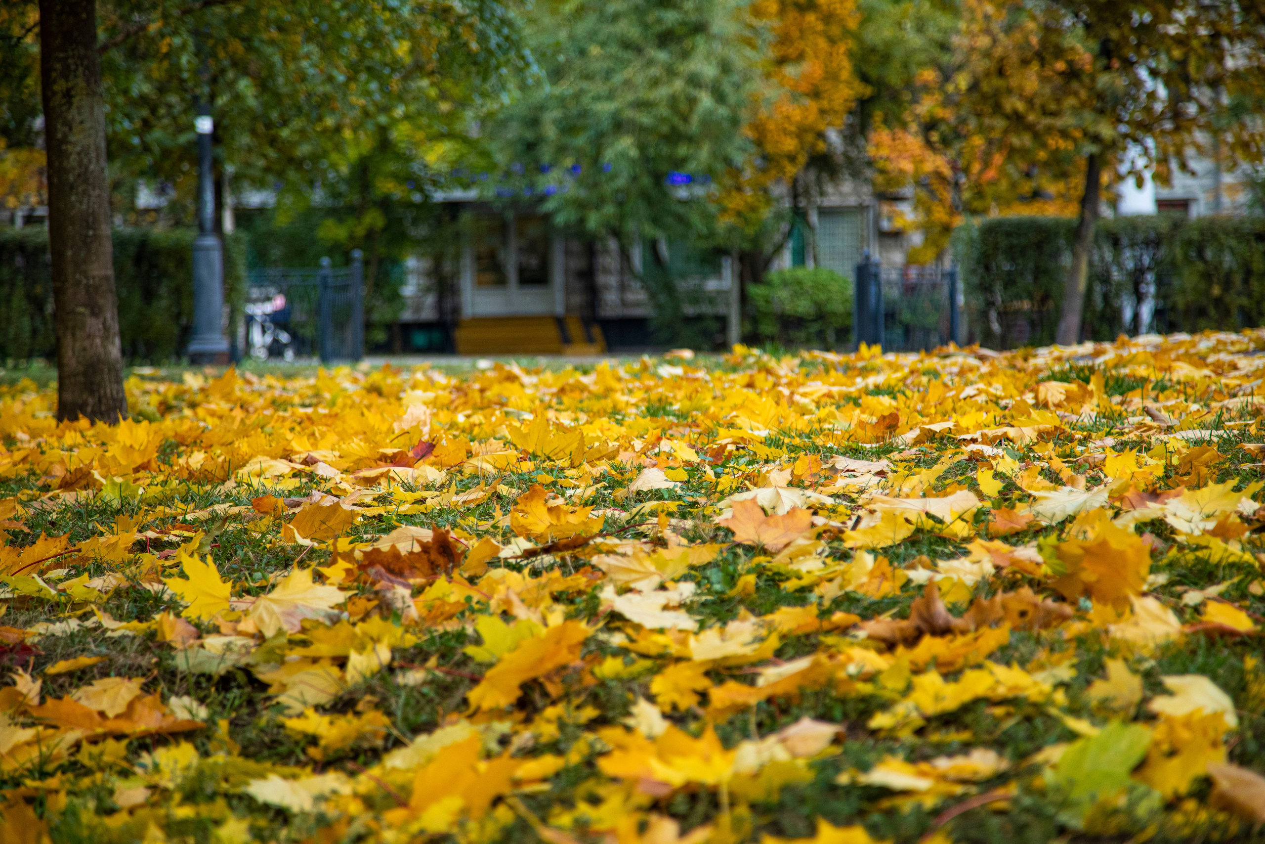 Про жизнь. Фотограф Сергей Ловкий