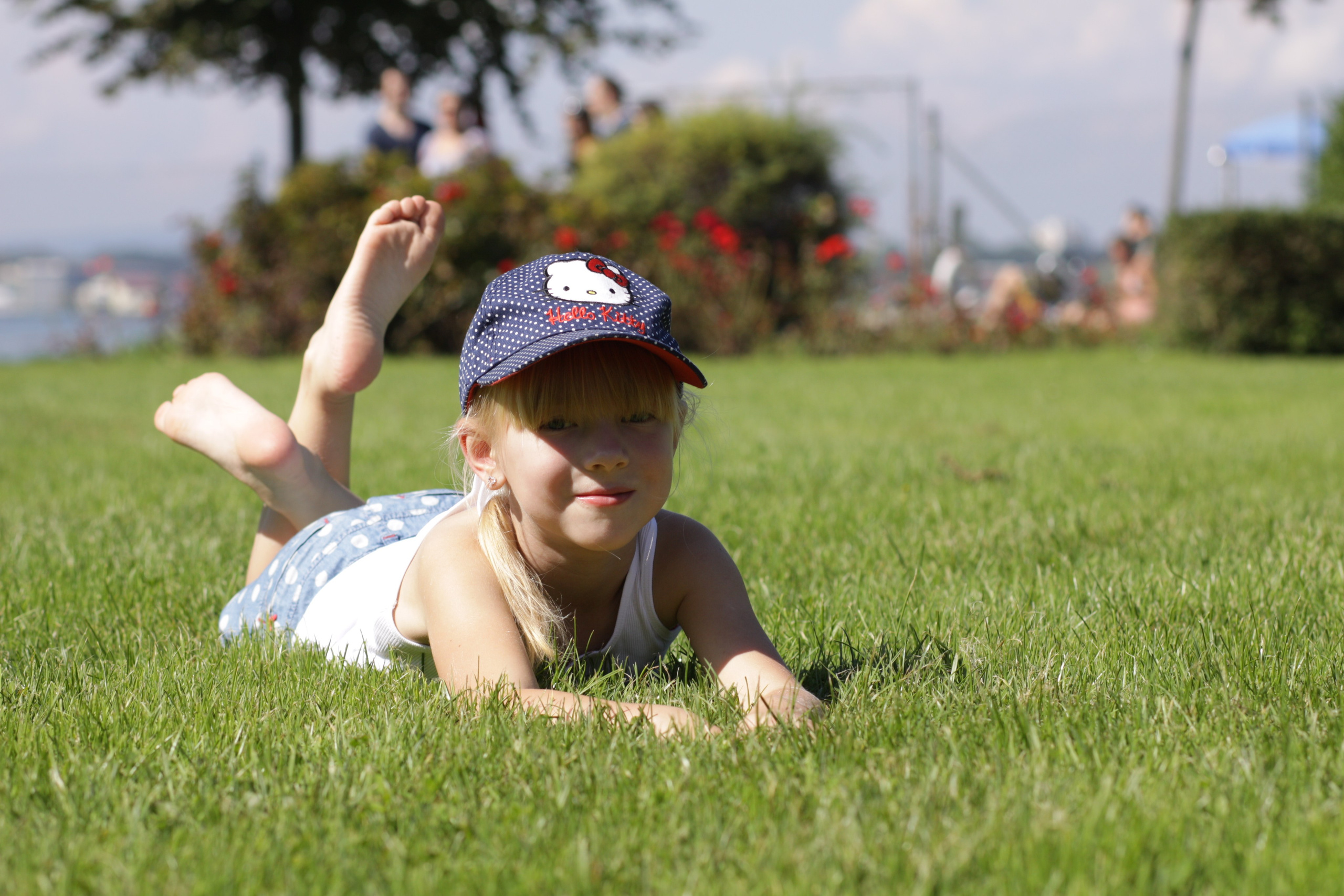 Боденское озеро, Германия