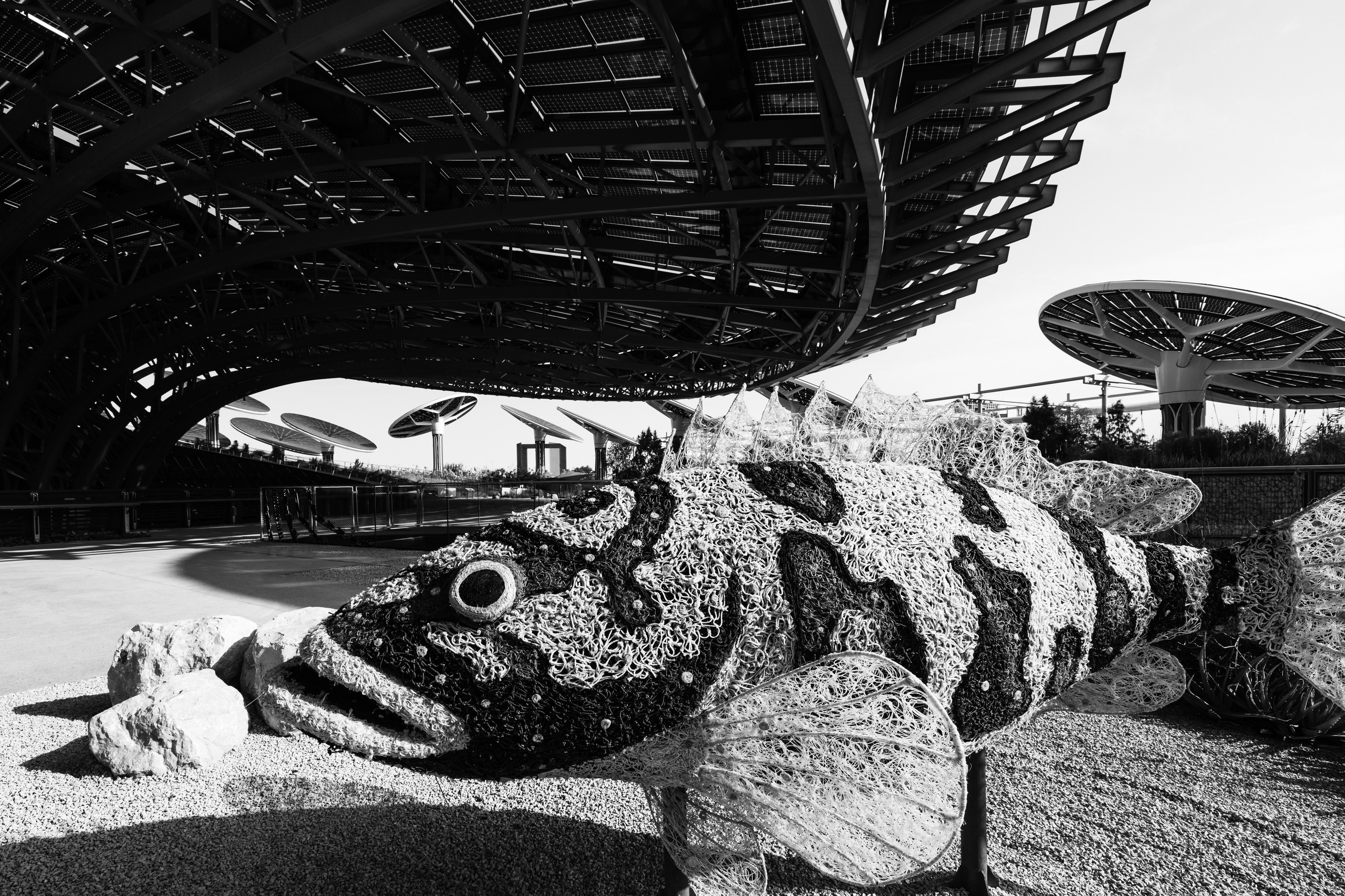 Дубай 2023. Руслан Плахтеев