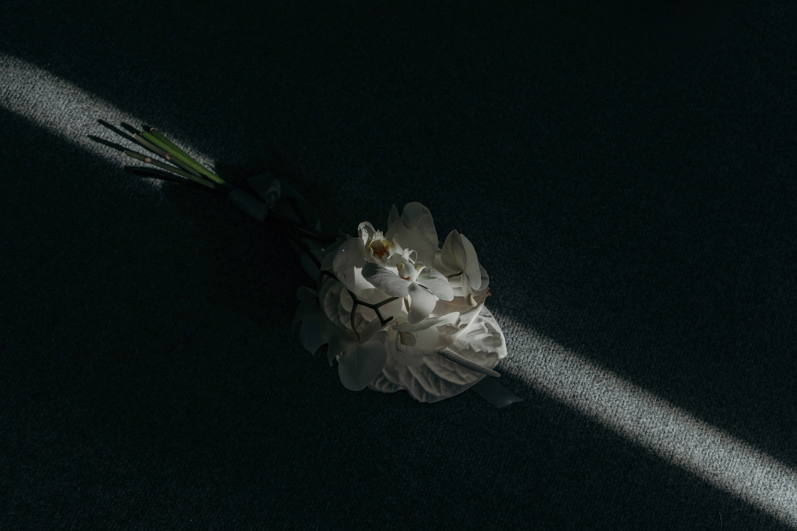 Санкт-Петербург Свадьба Элвина и Саиды. Лилия Вахитова фотограф