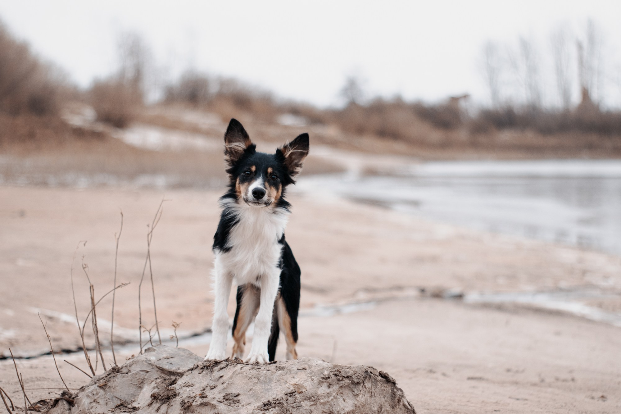 Ярослава и Ронда. Фотограф в Тюмени Лизавета Сапицкая