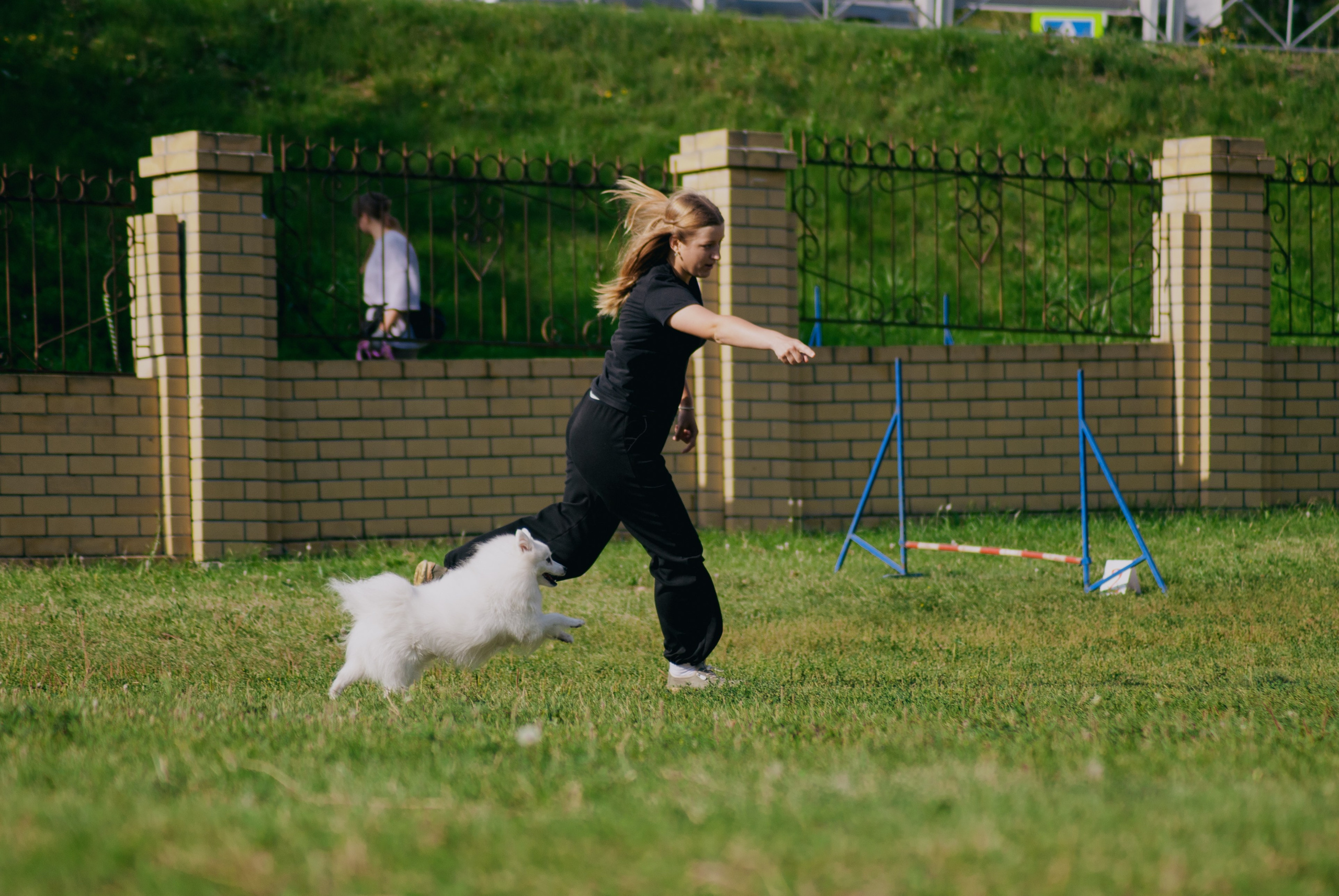 Аджилити. Фотограф в Тюмени Лизавета Сапицкая
