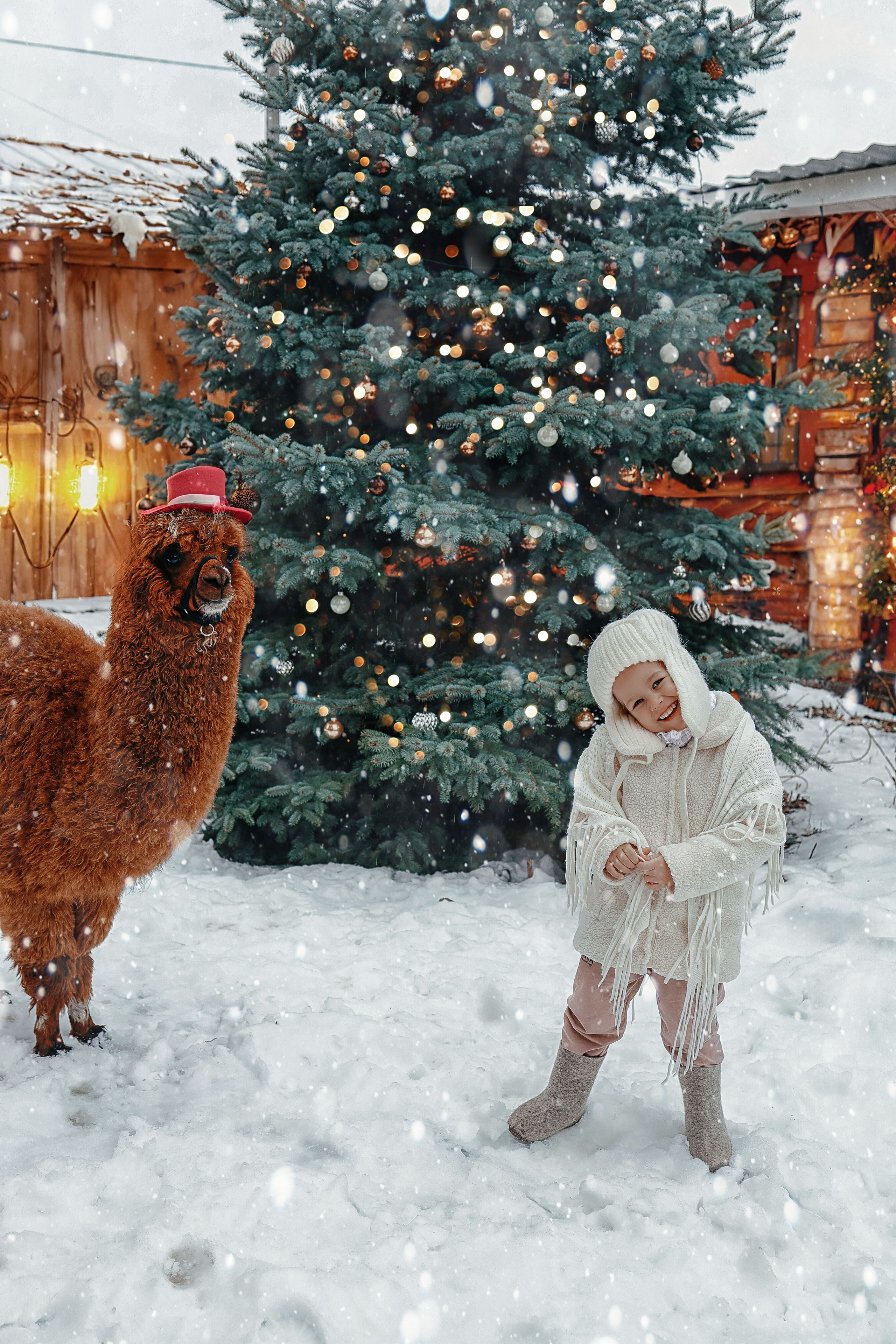 Фотосессия с Альпакой. Иванова Ирина Свадебный и семейный фотограф г. Уфа