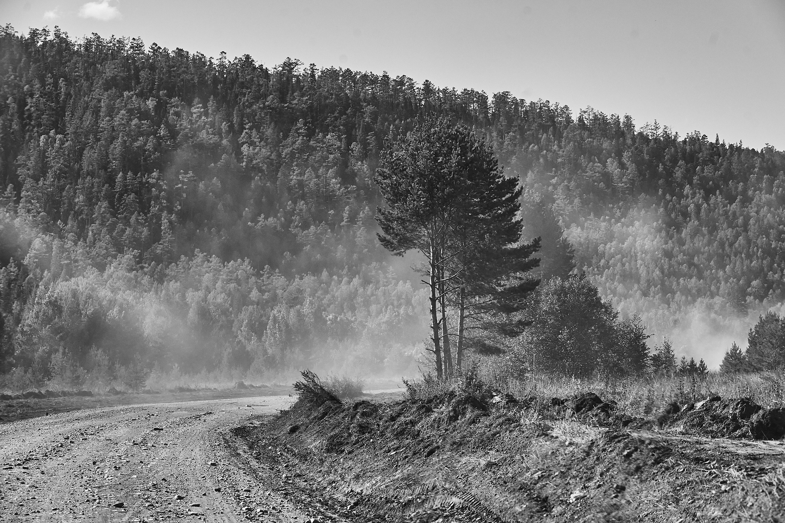 Пейзажи. Фотограф и оператор мероприятий, концертов и портретов в городе Москва