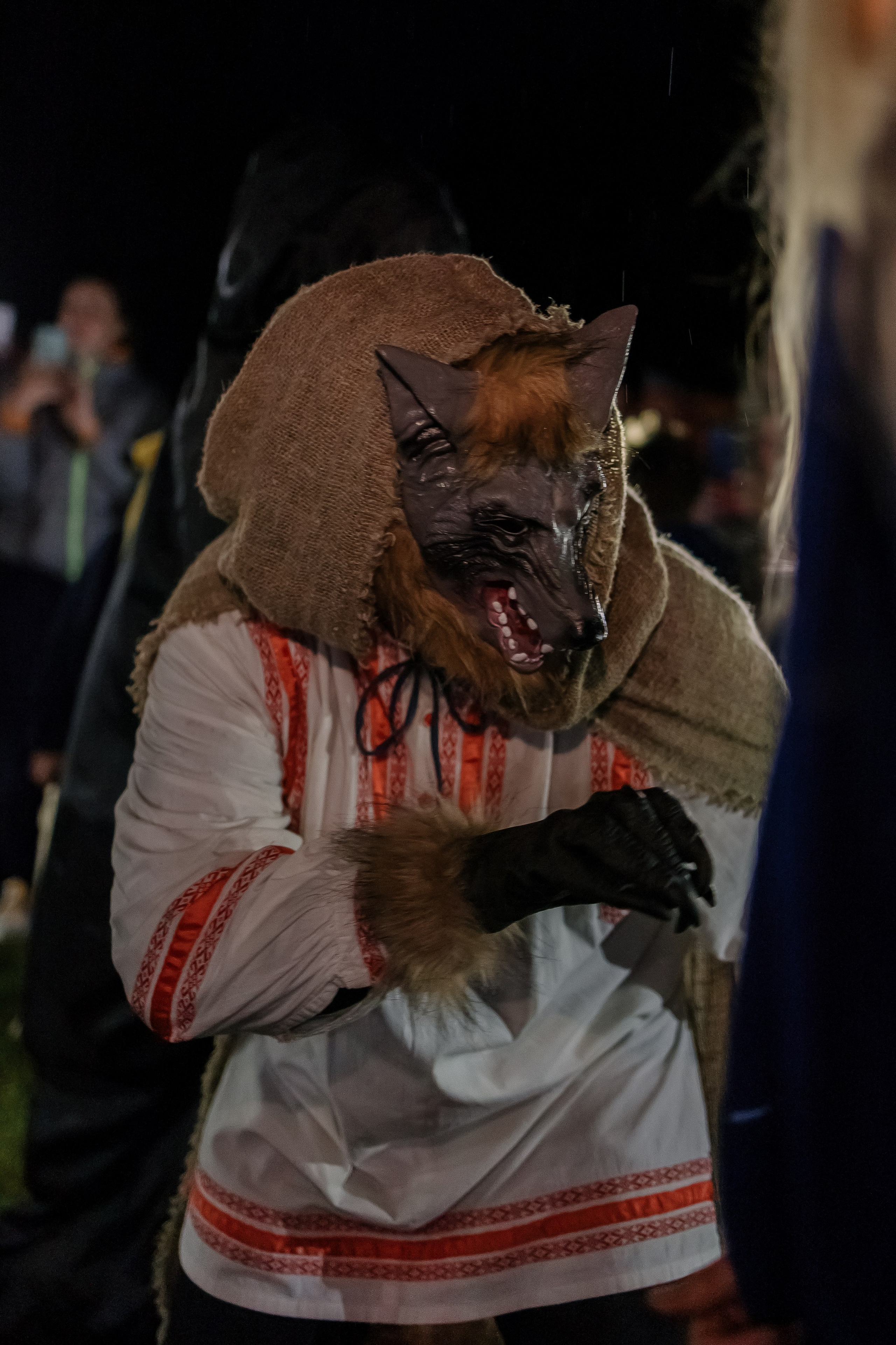 Ночь музеев Здравнево. Свадебный фотограф
