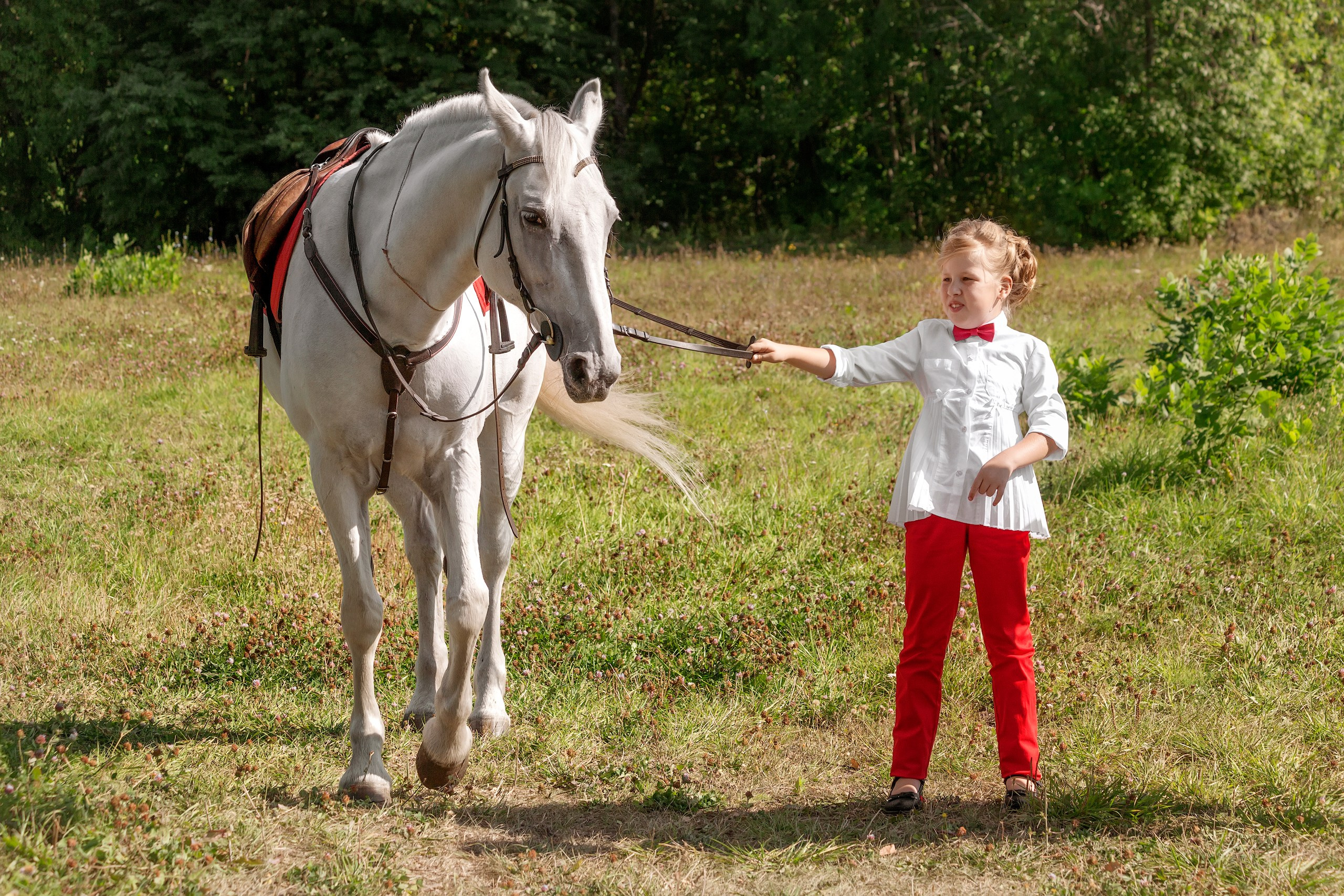 Девочка с белой лошадью на опушке леса, фотосессия с лошадью Ульяновск
