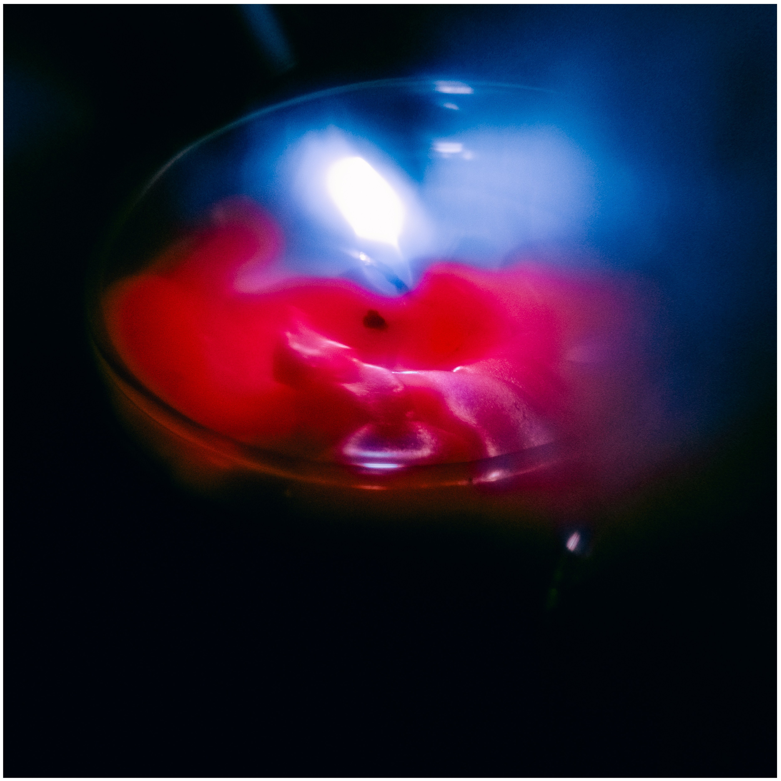 Дневник. Фотограф из Хакасии Элина Кичеева