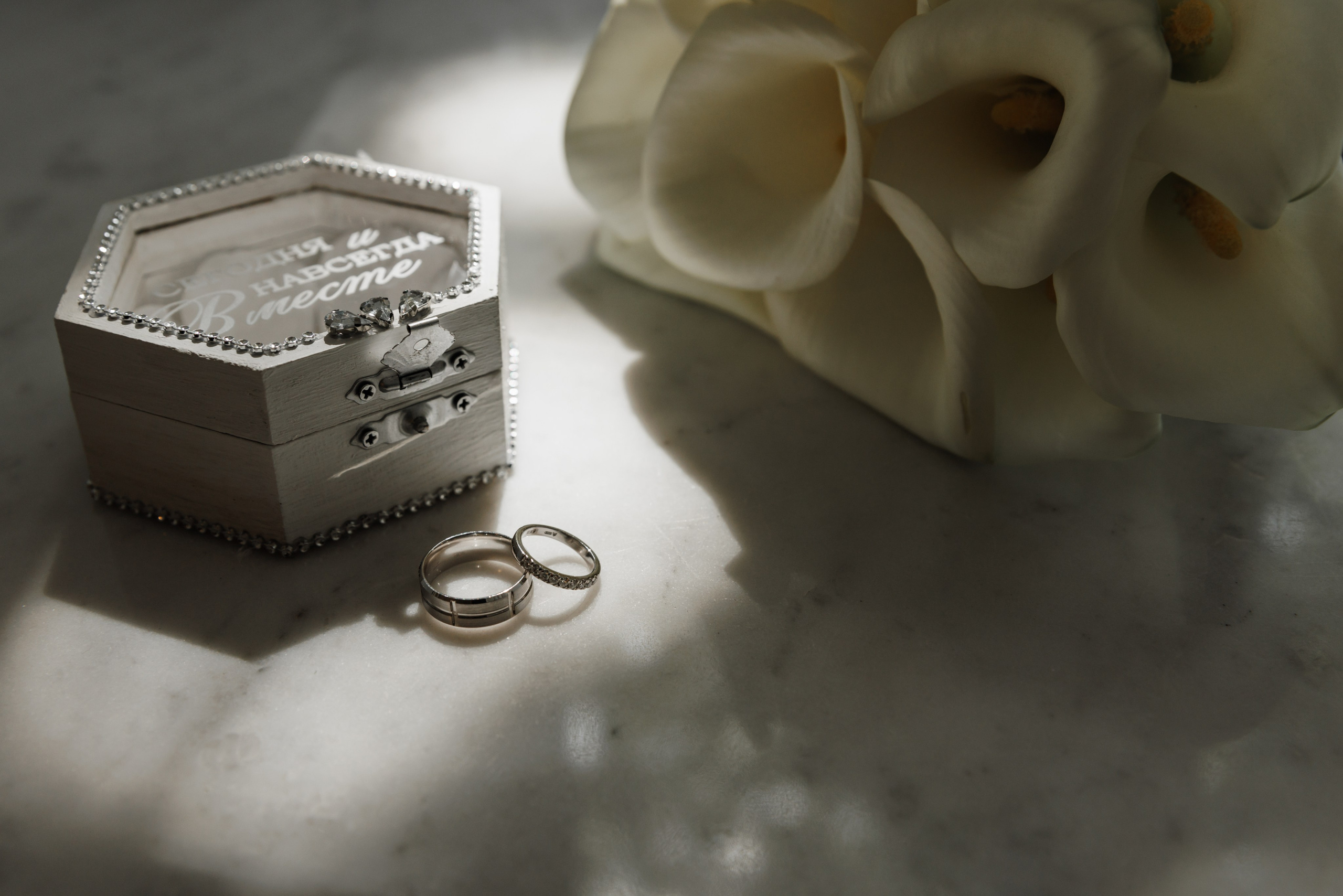 Татьяна и Сергей| Усадьба Зубовых. Фотограф Москва Шептаев Артём