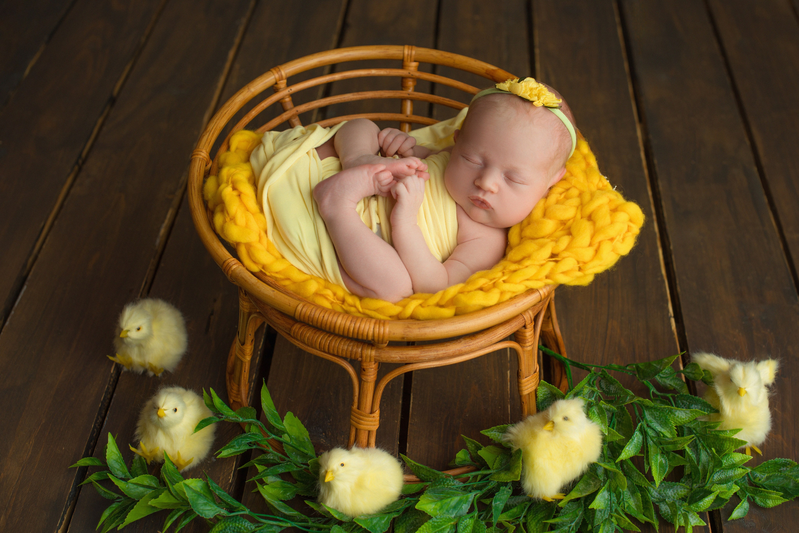 Новорожденные. Фотограф Новорожденных во Владивостоке Ольга Галаницкая